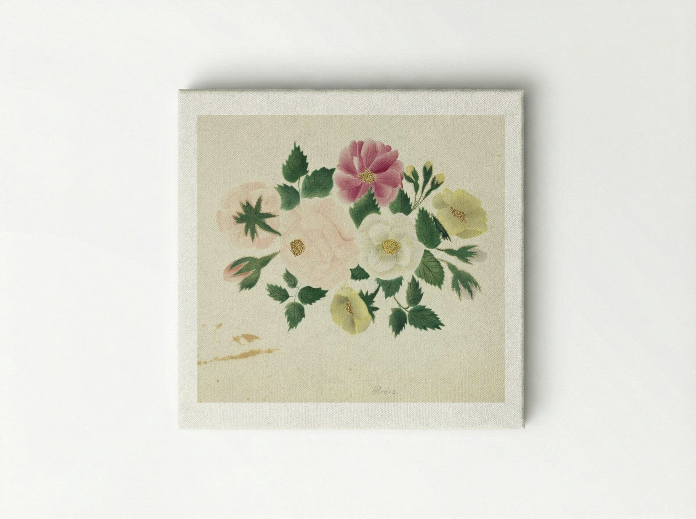 June Roses - Mary Altha Nims - Canvas