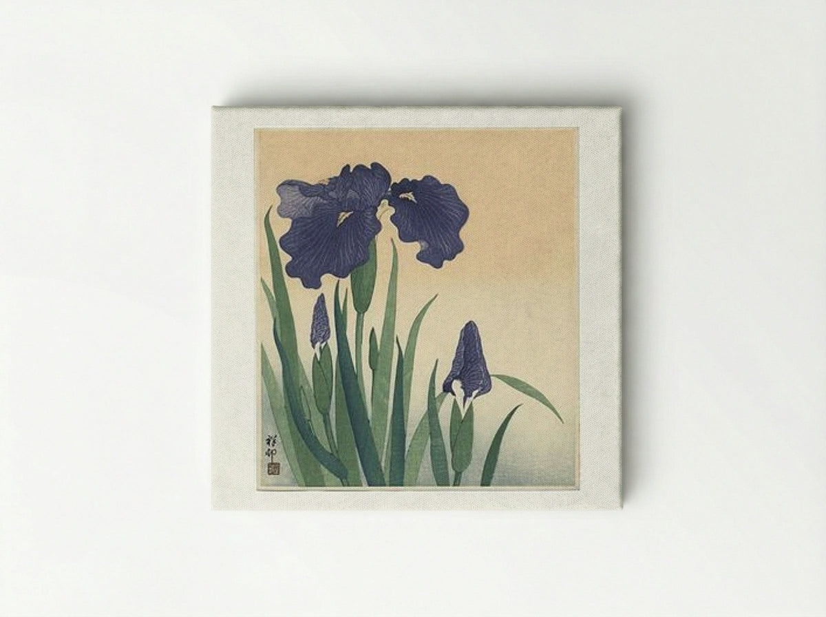 Flowering Iris - Ohara Koson - Canvas