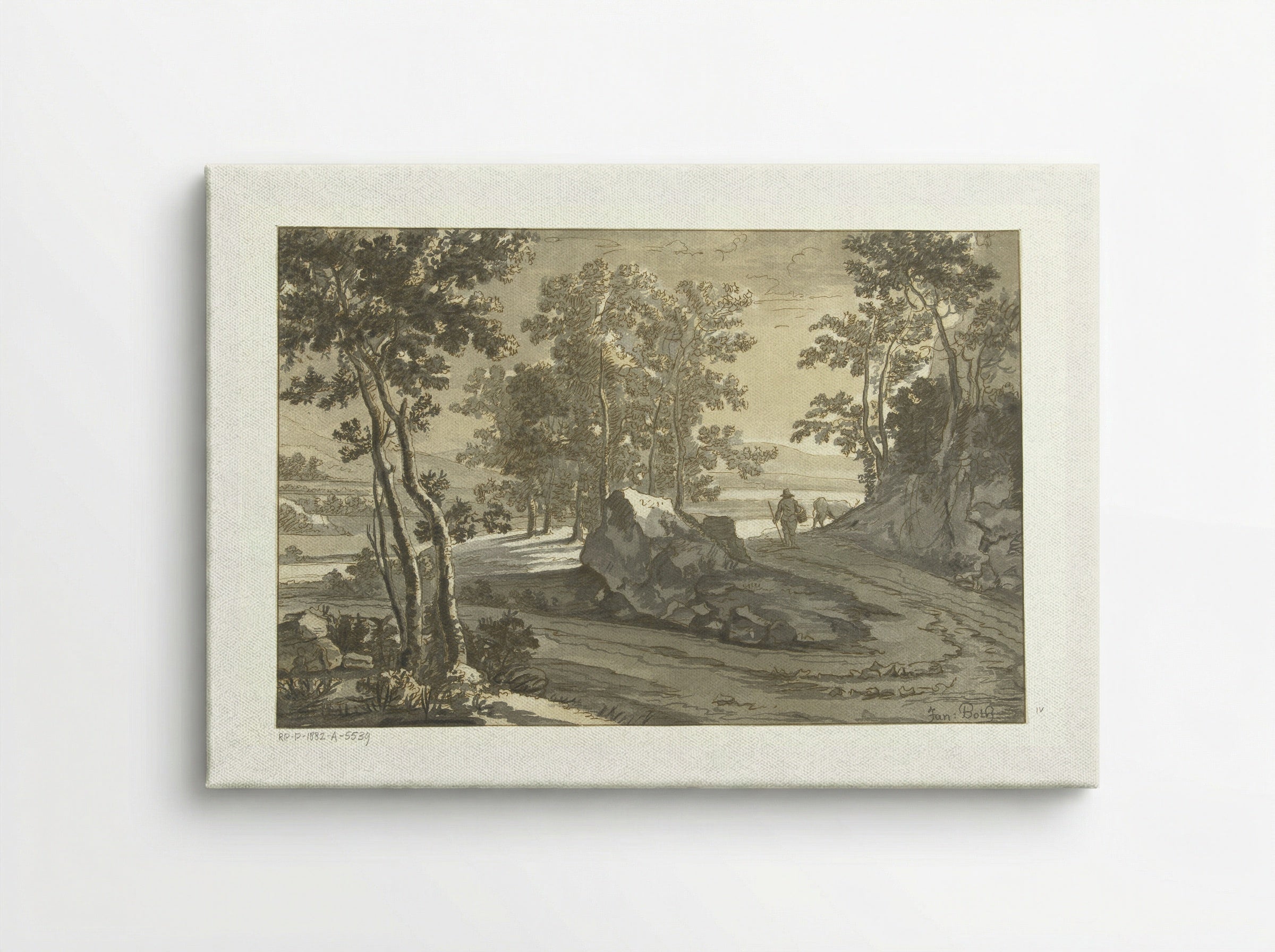 Wooded Landscape with a Drover - Jan Both - Canvas