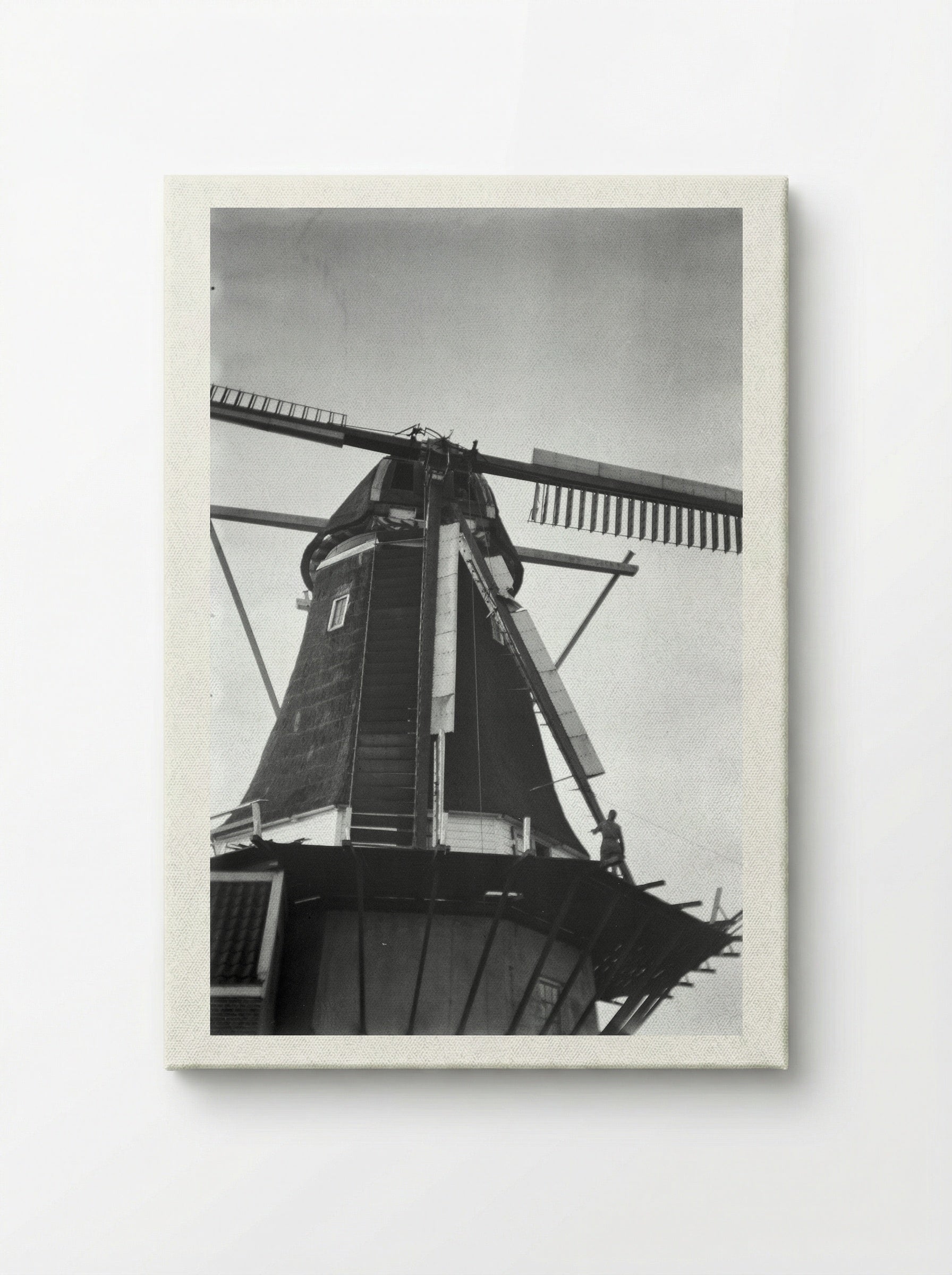 Stellingmolen (Windmill Study) - Willem Westbroek - Canvas