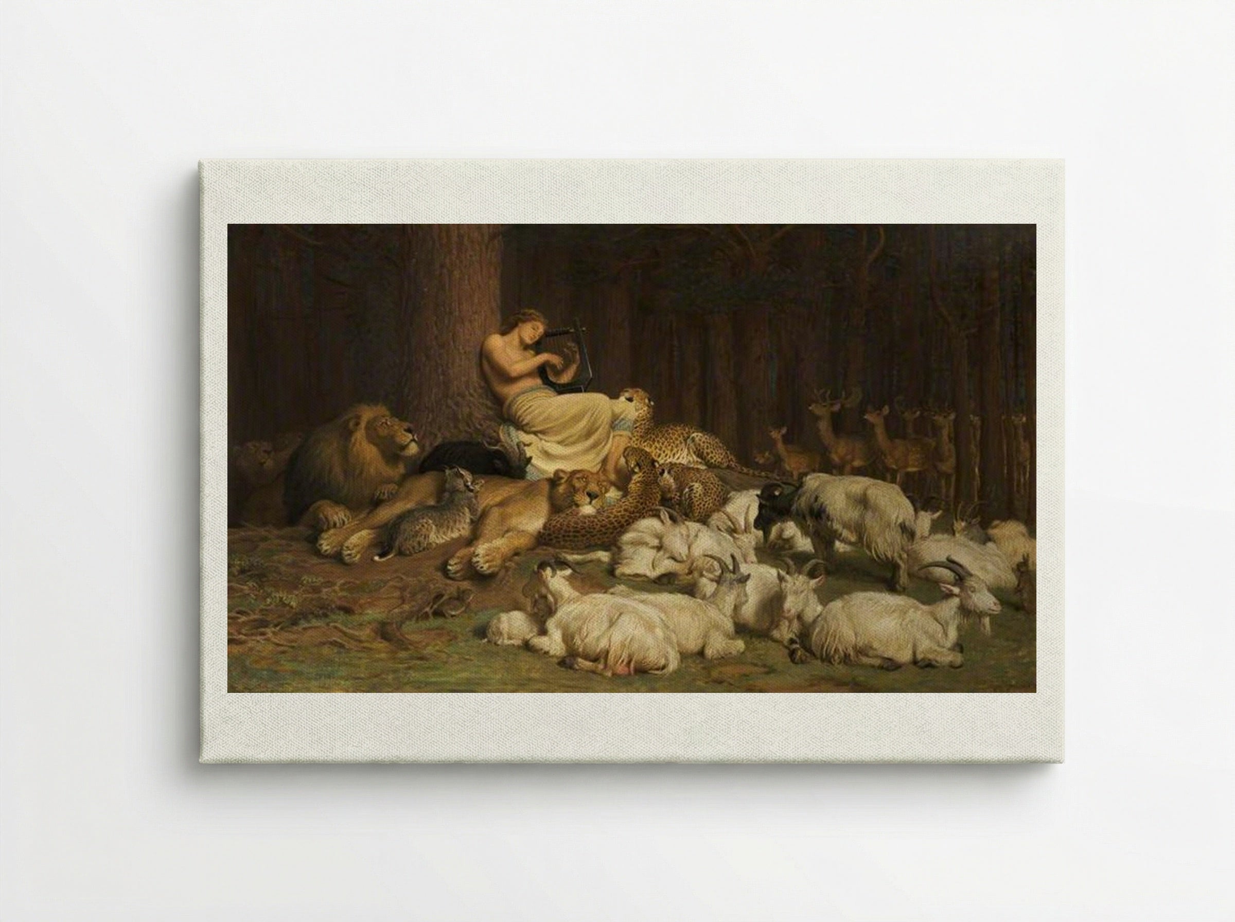 Apollo - Briton Riviere - Canvas