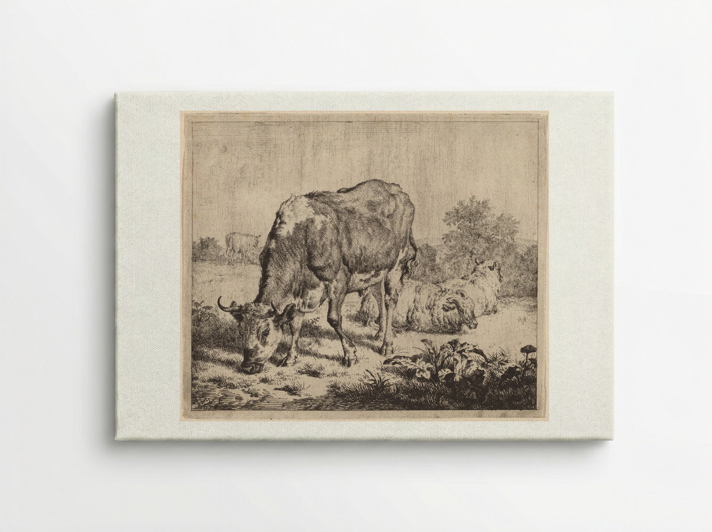 Spotted Bull and Three Sheep - Adriaen van de Velde - Canvas