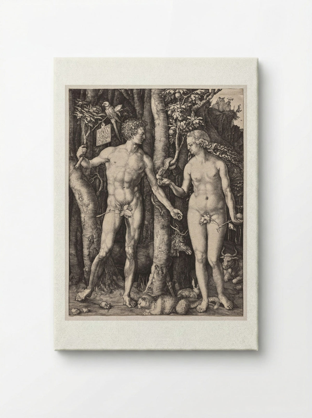 Adam and Eve - Albrecht Dürer - Canvas