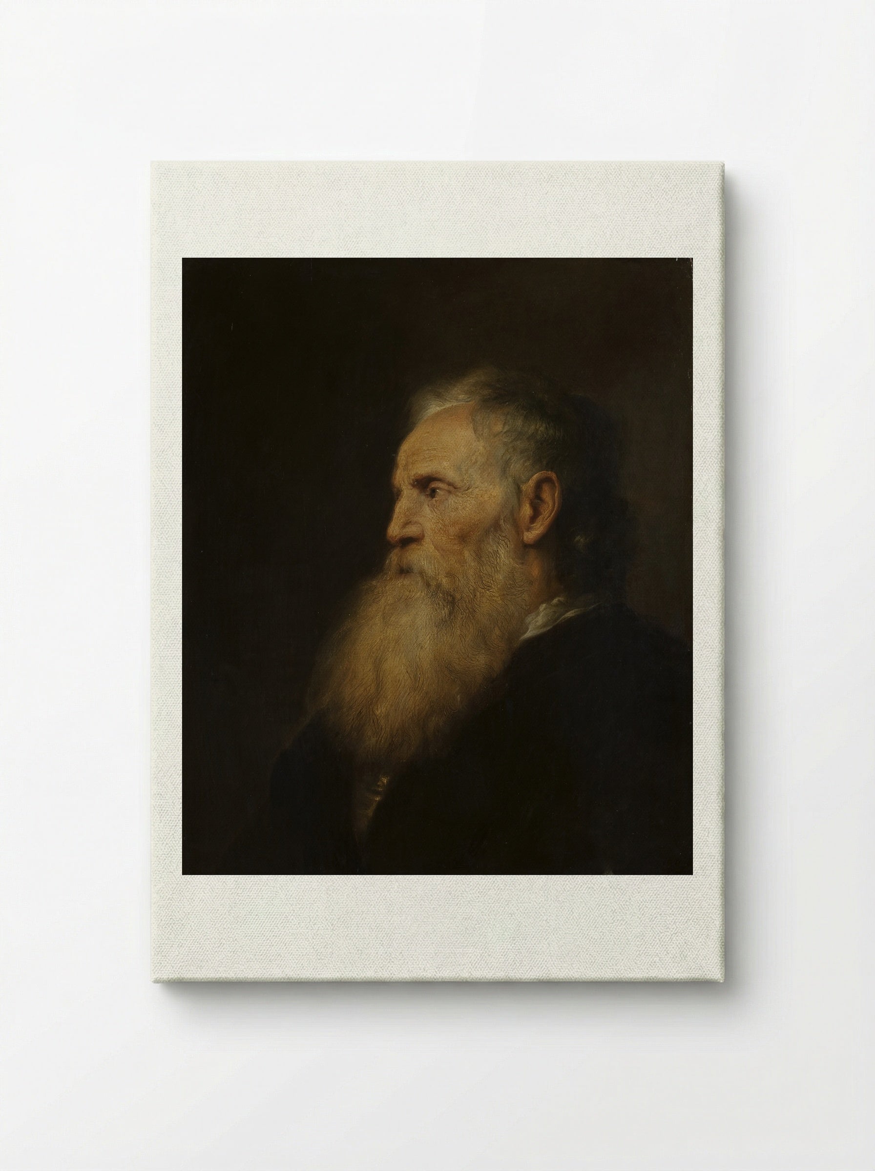 Portrait of an Old Man - Jan Lievens - Canvas