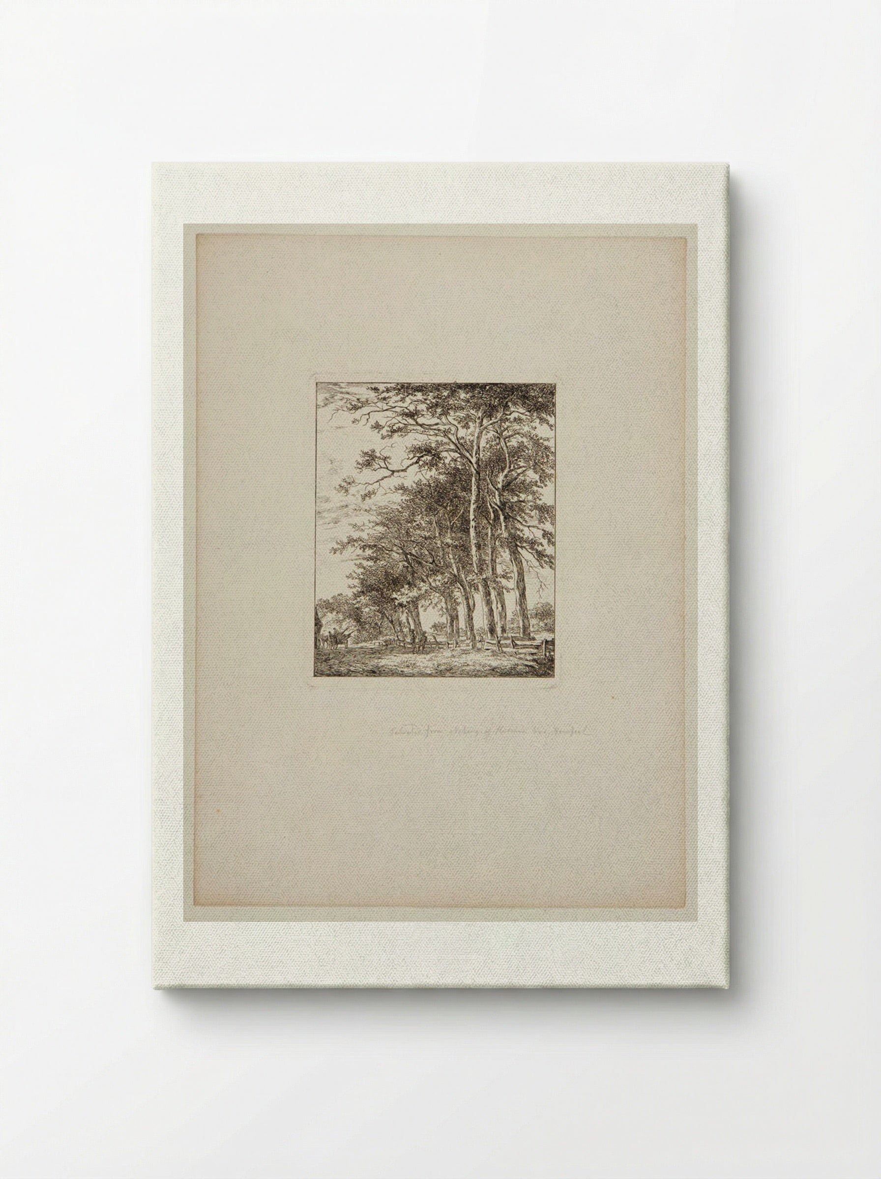 Plate V (Tree-Lined Path) - Hermanus van Brussel - Canvas