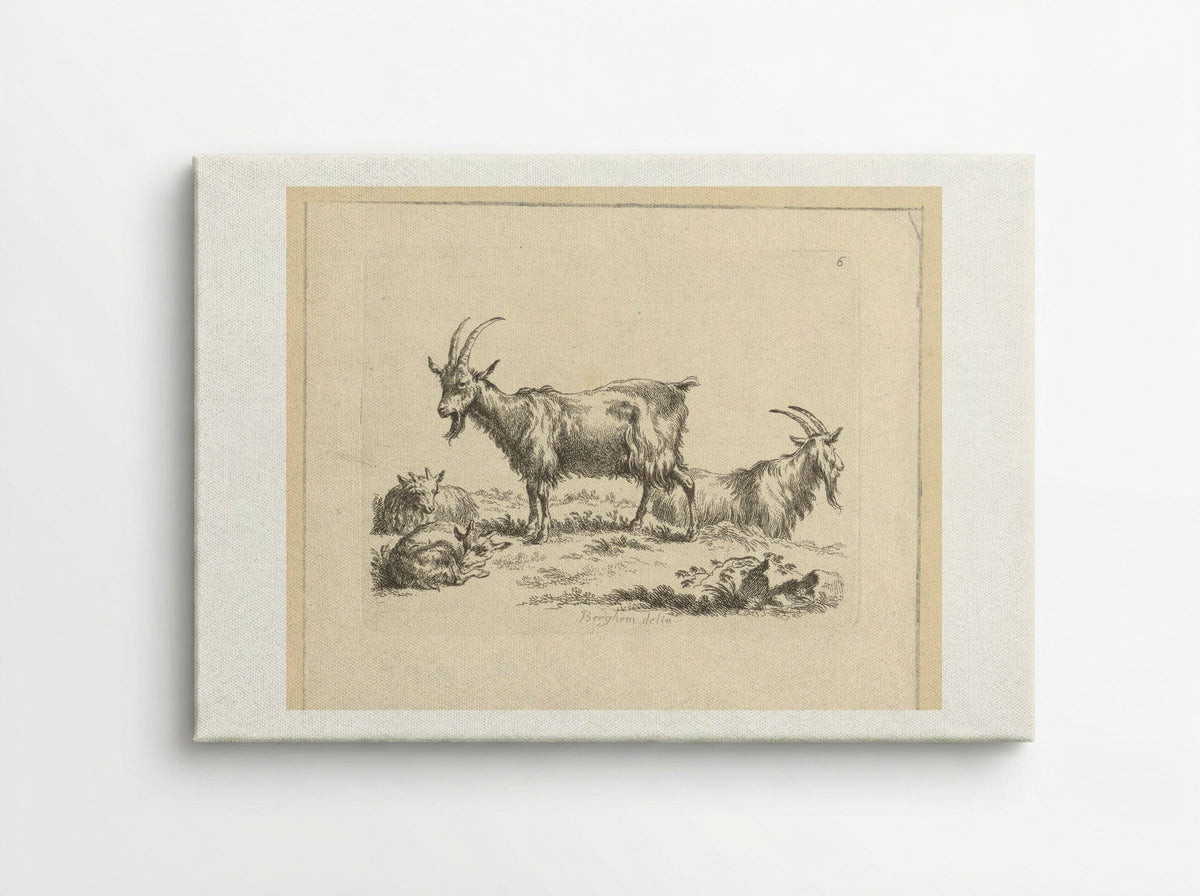 Twee geiten en twee lammeren - François Vivares - Canvas