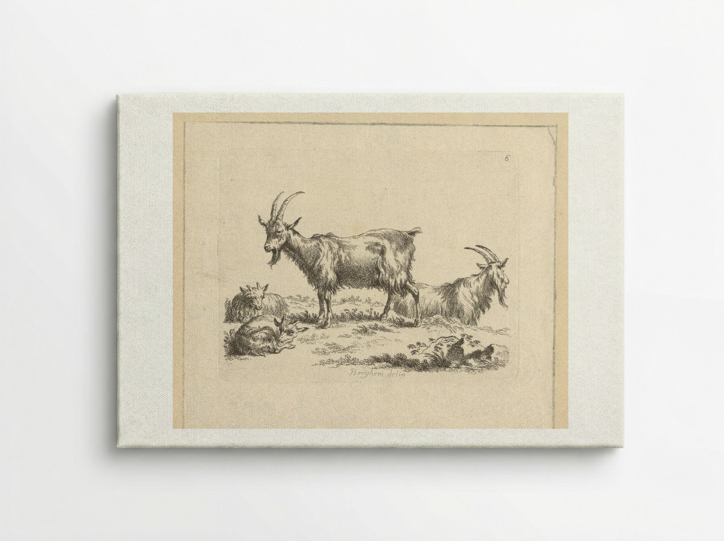 Twee geiten en twee lammeren - François Vivares - Canvas
