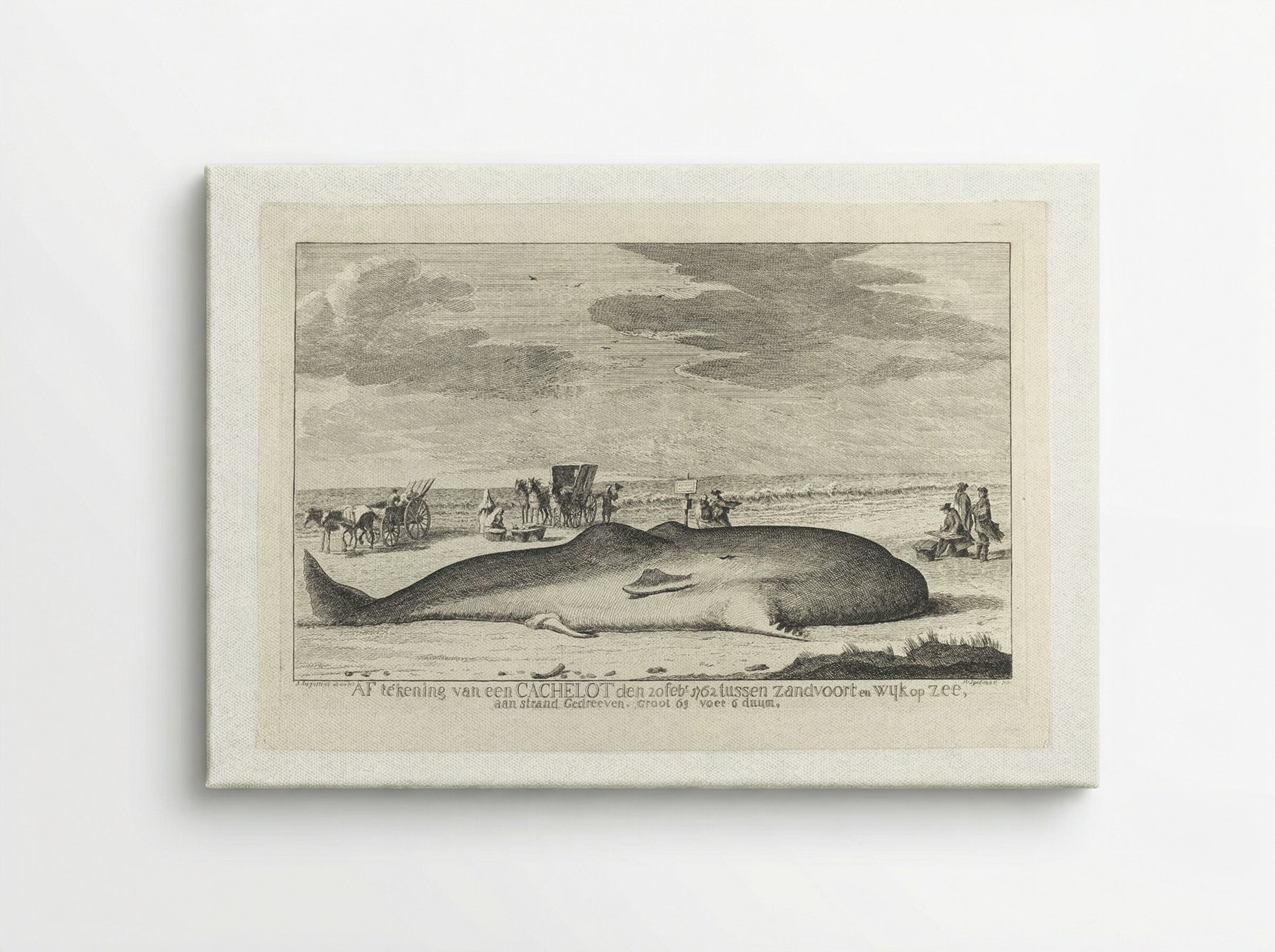 The Whale Stranded between Zandvoort and Wijk Op Zee - Hendrik Spilman - Canvas