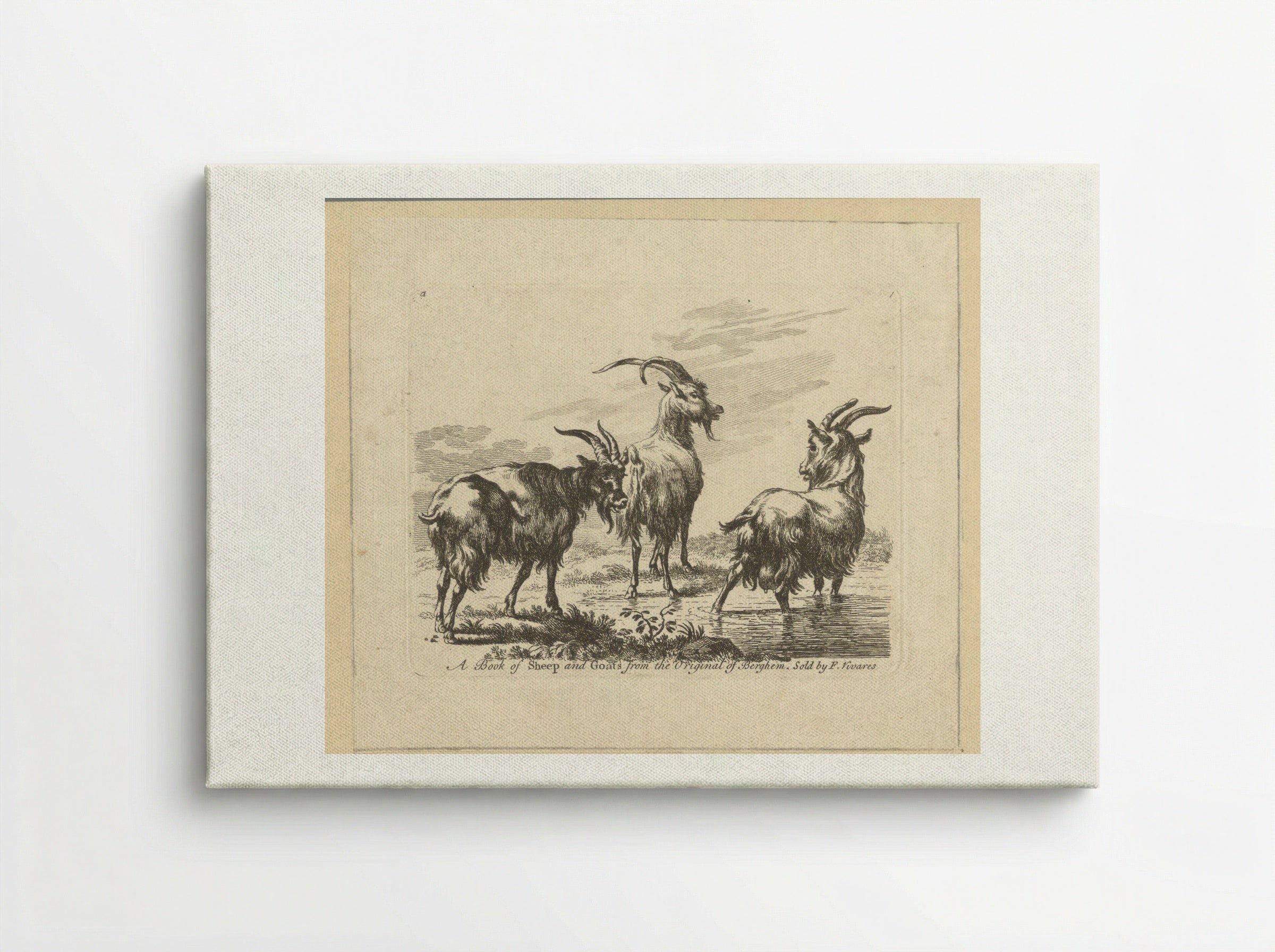 Three Goats by a Stream - François Vivares - Canvas