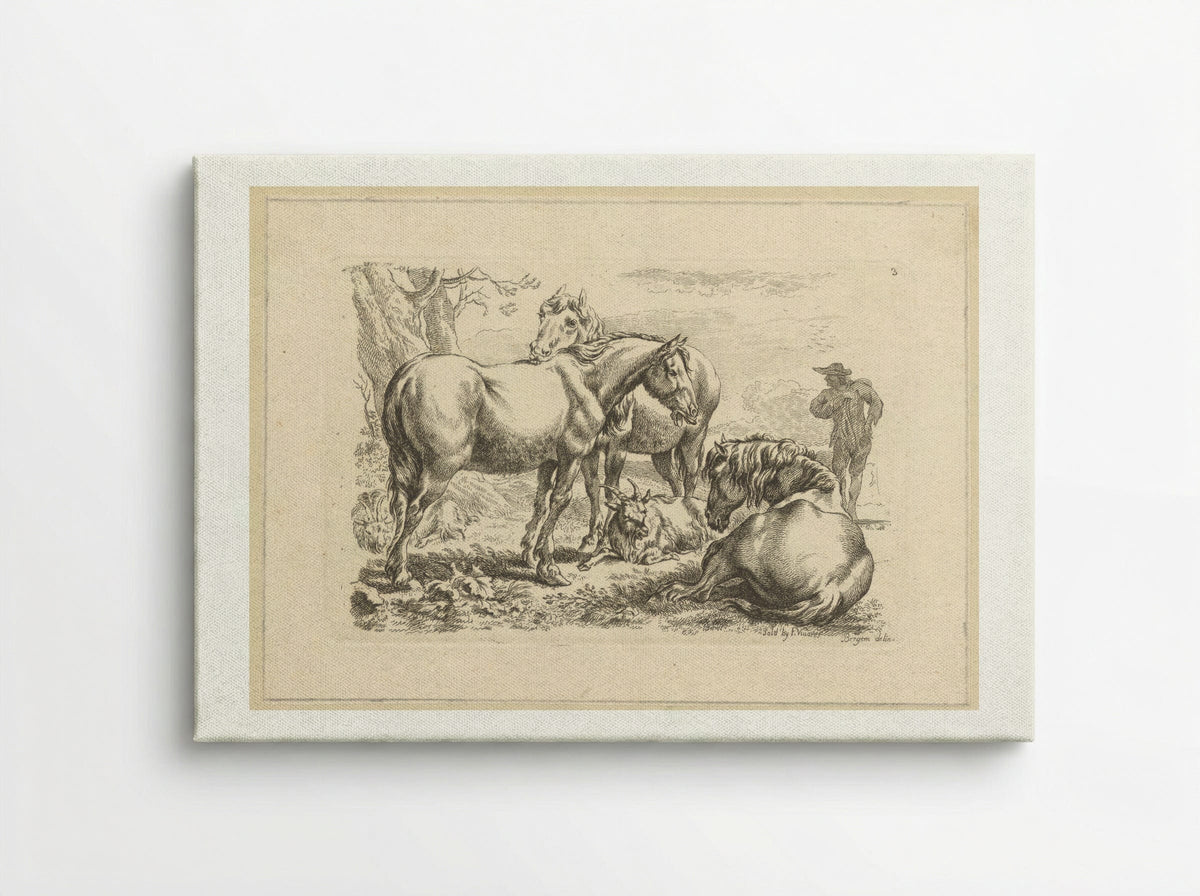 Drie paarden een geit - François Vivares - Canvas