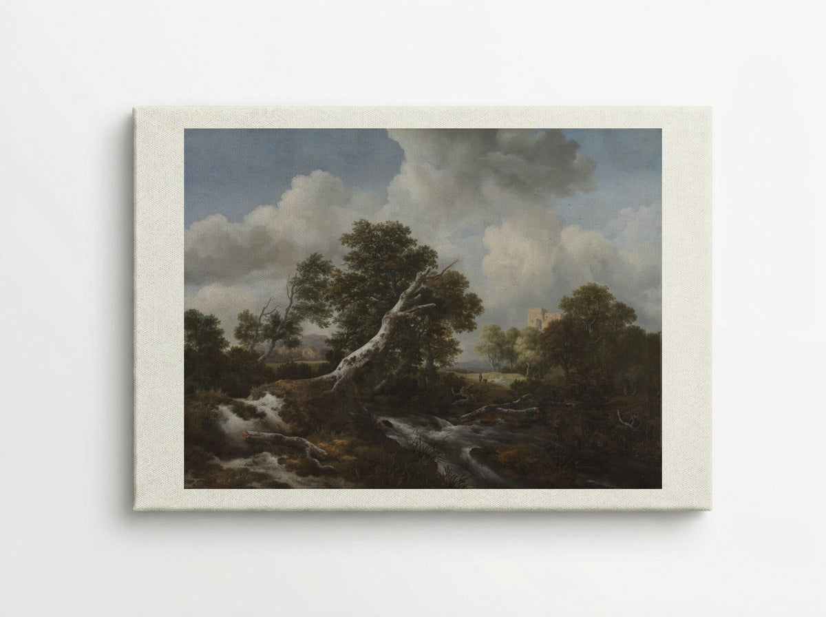 Low Waterfall in a Wooded Landscape with a Dead Beech Tree - Jacob van Ruisdael - Canvas