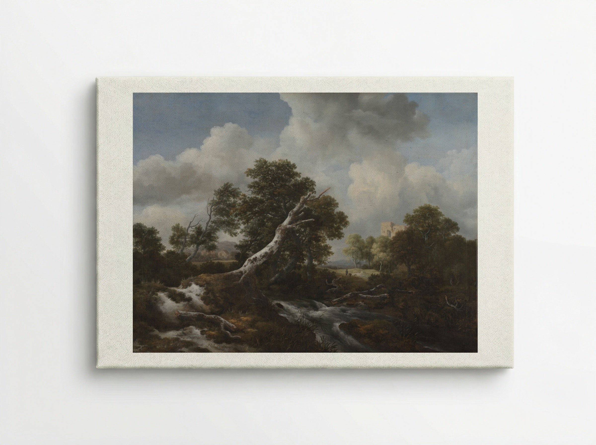 Low Waterfall in a Wooded Landscape with a Dead Beech Tree - Jacob van Ruisdael - Canvas
