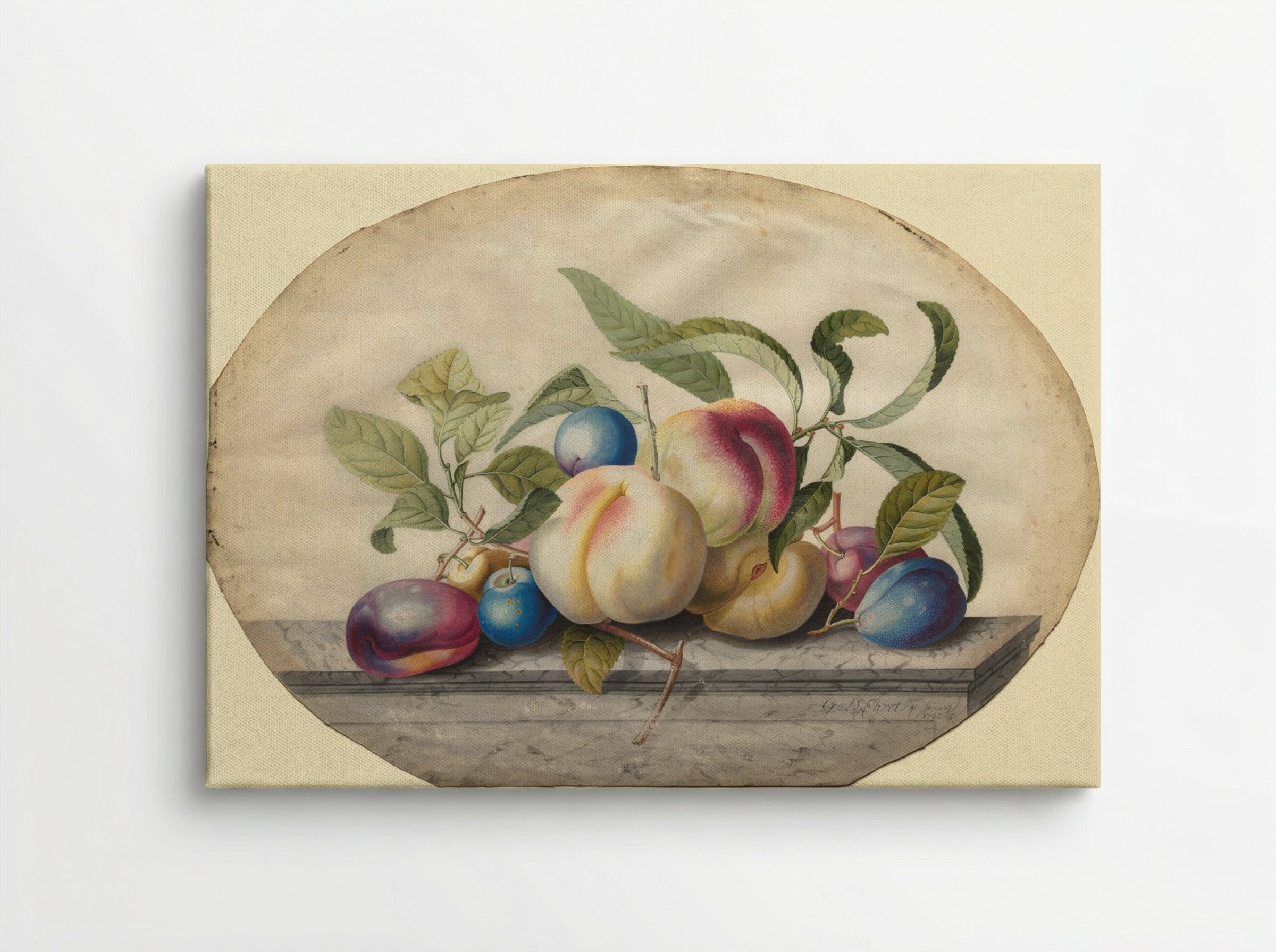 Fruit Arrangement: Peaches and Plums on a Slab of Marble - Georg Dionysius Ehret - Canvas