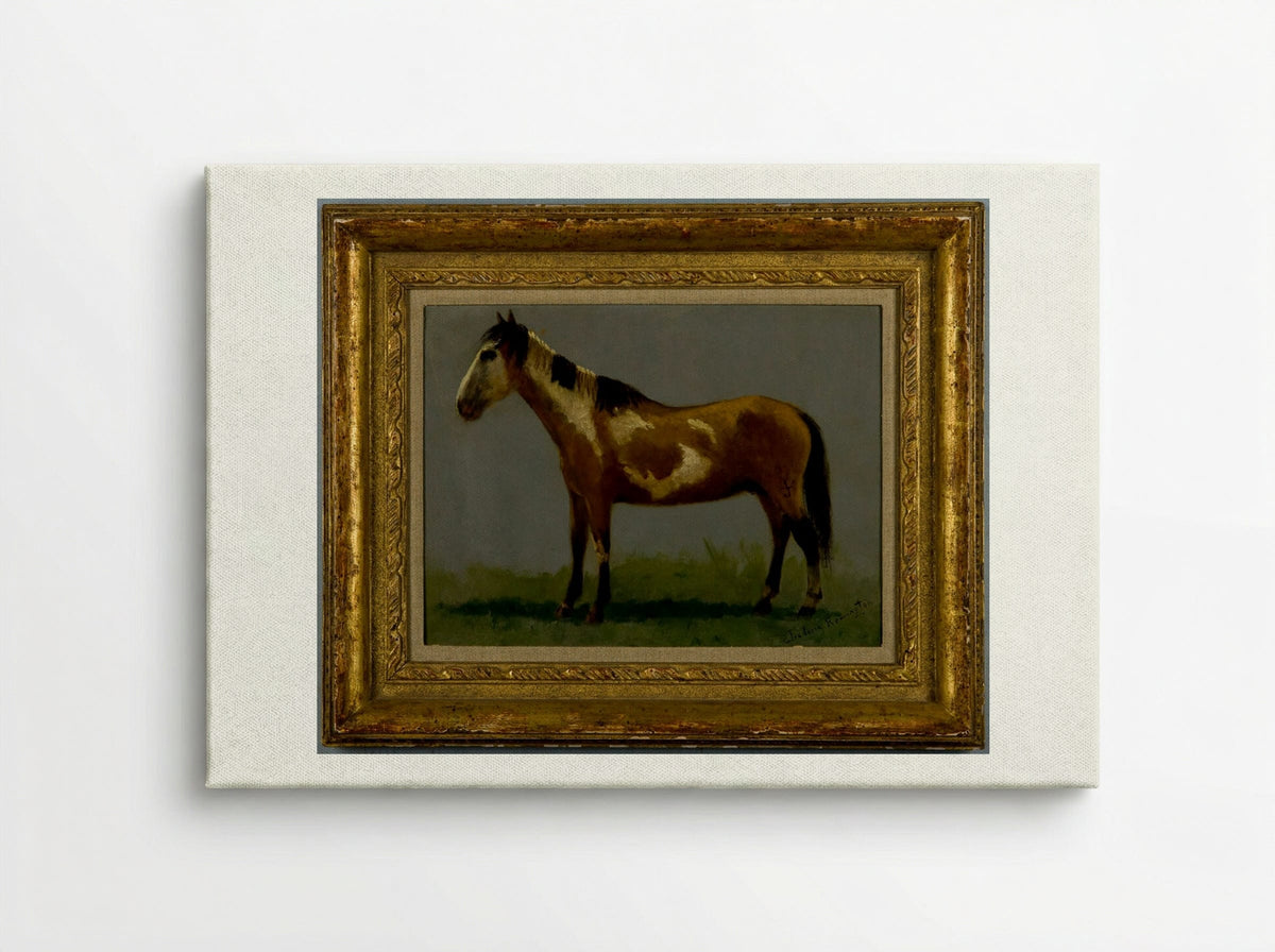 Plains Pony - Frederic Remington - Canvas