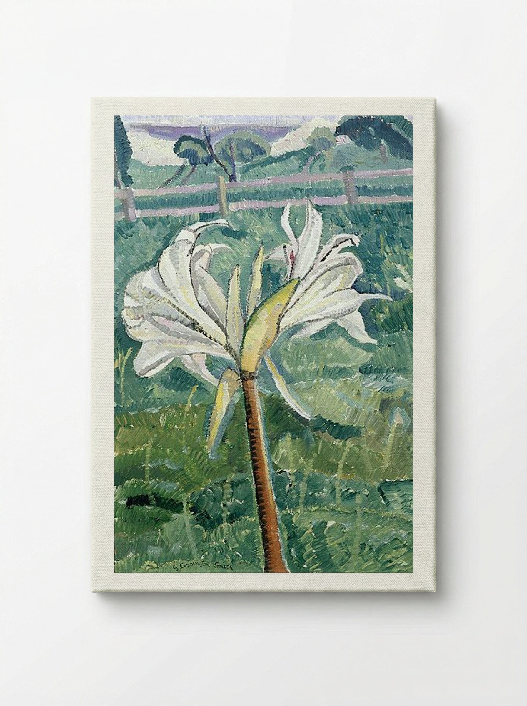Lily growing in a field by the sea - Grace Cossington Smith - Canvas