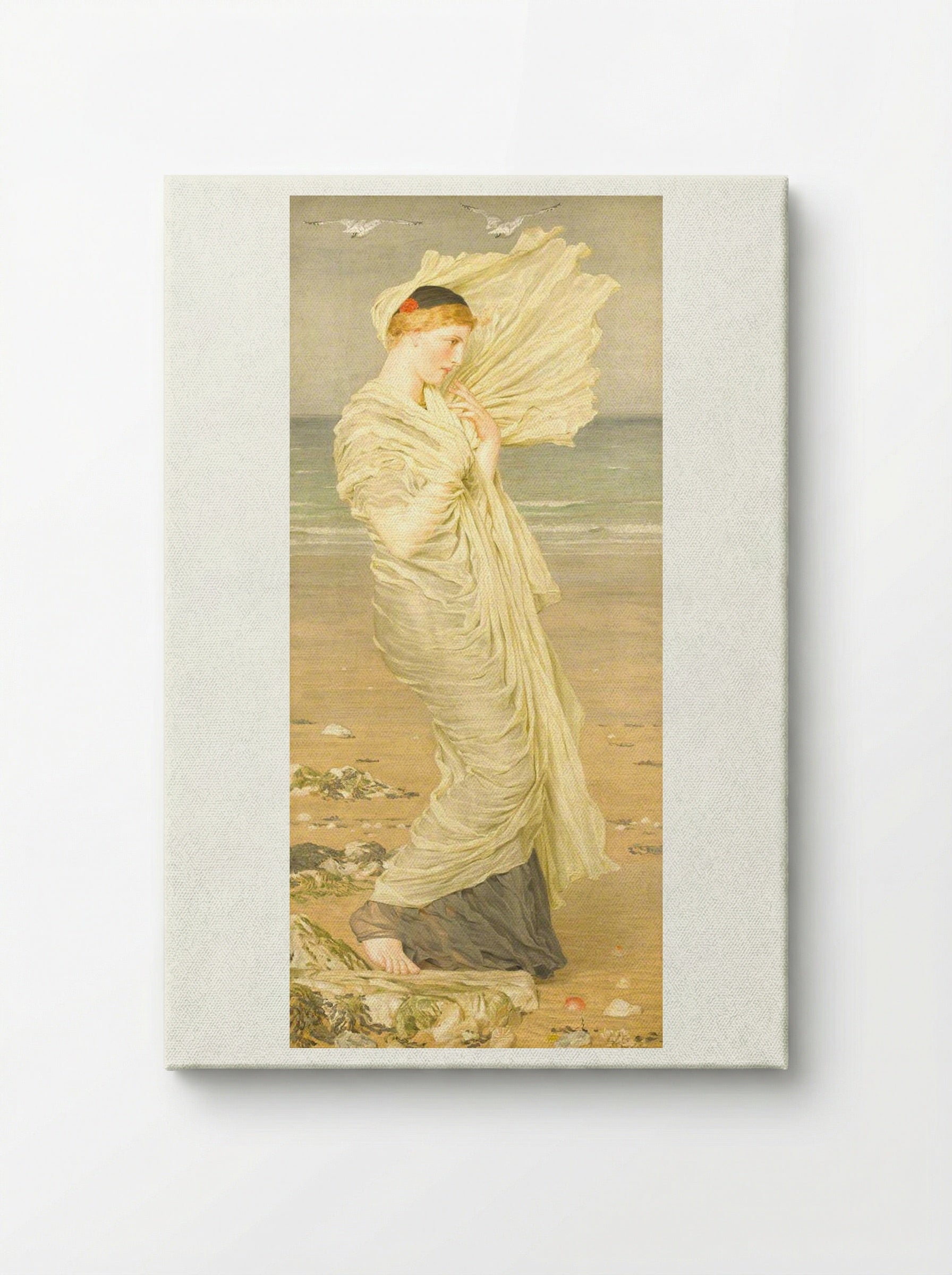 Seagulls - Albert Joseph Moore - Canvas