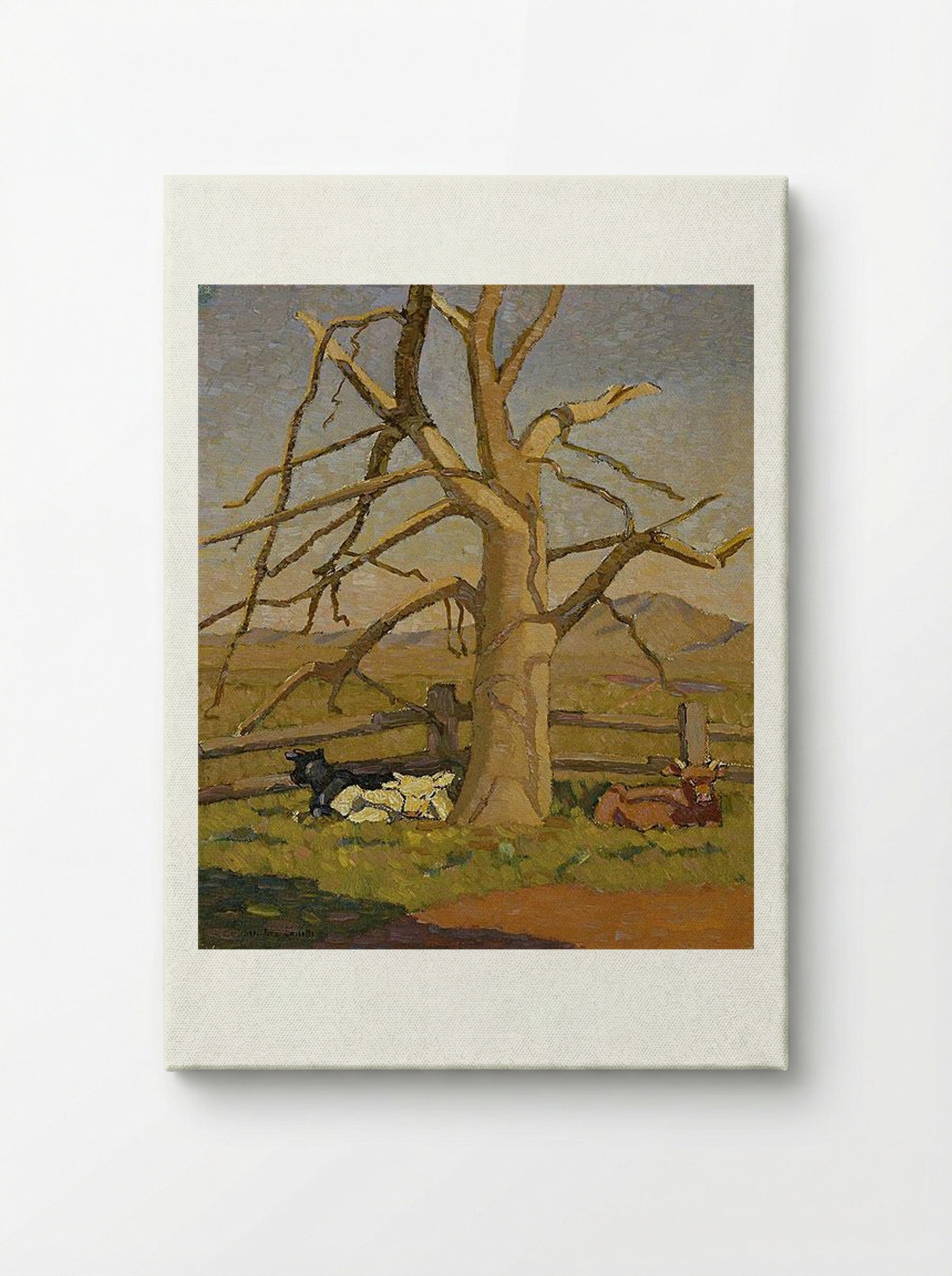 Sunny morning: Cows at Lanyon - Grace Cossington Smith - Canvas