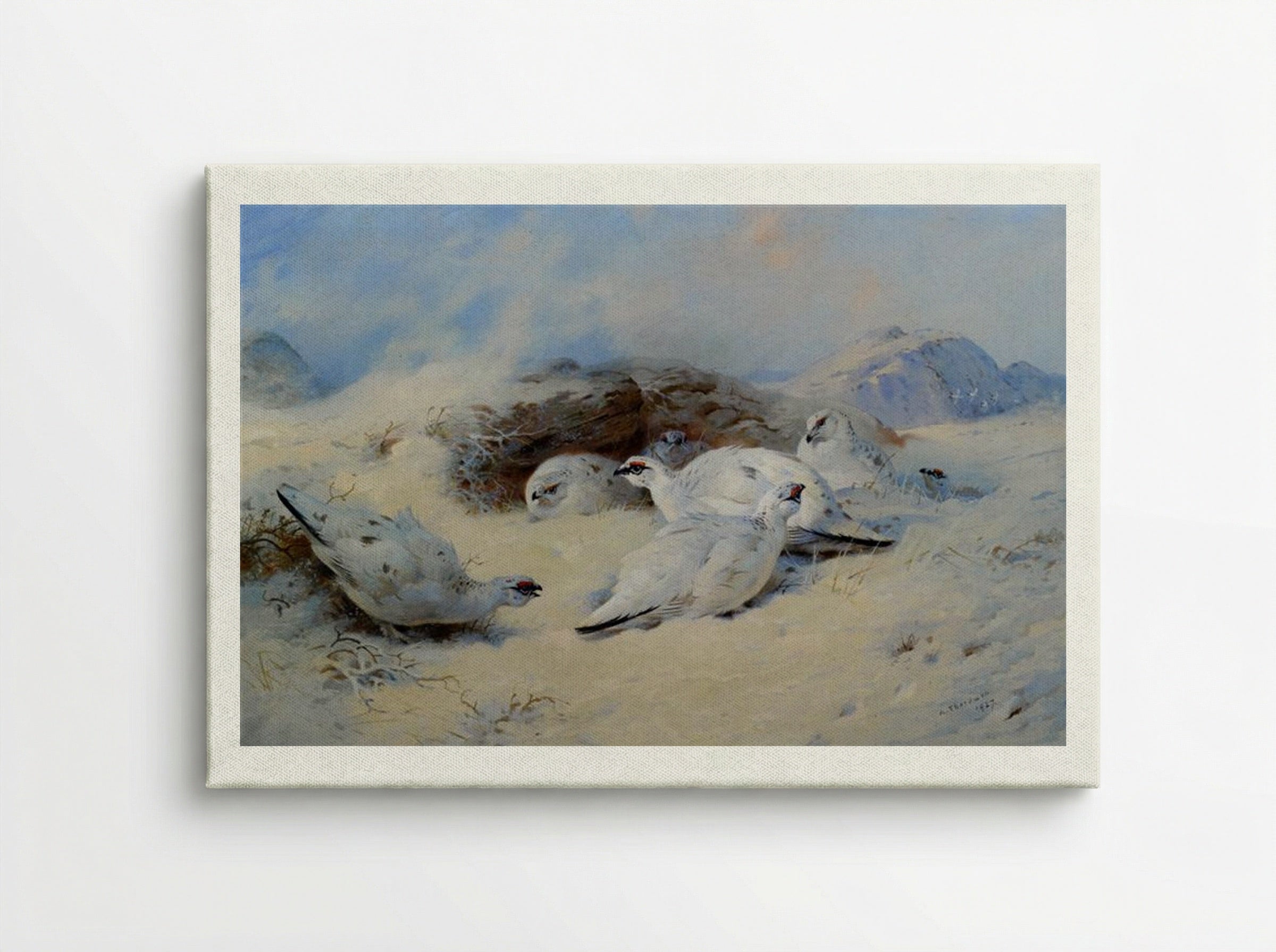 Ptarmigan Seeking Shelter - Archibald Thorburn - Canvas