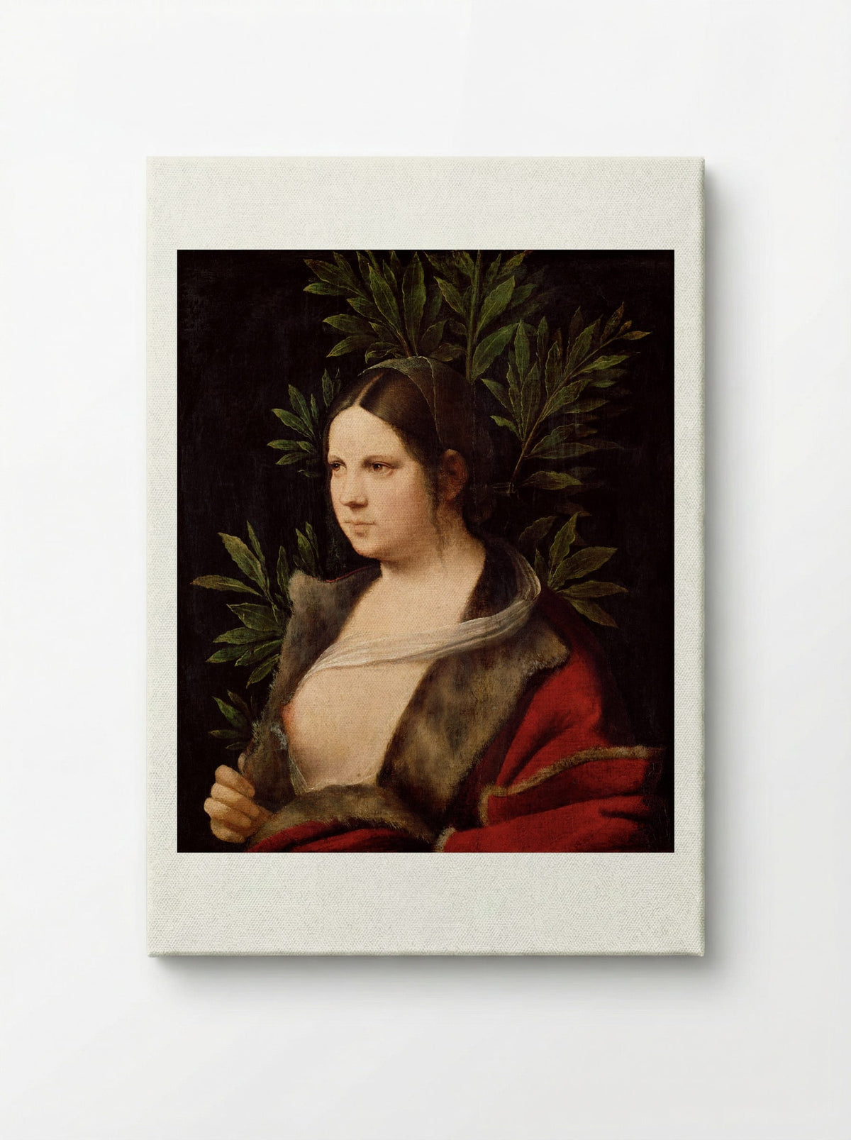 Laura - Giorgione - Canvas
