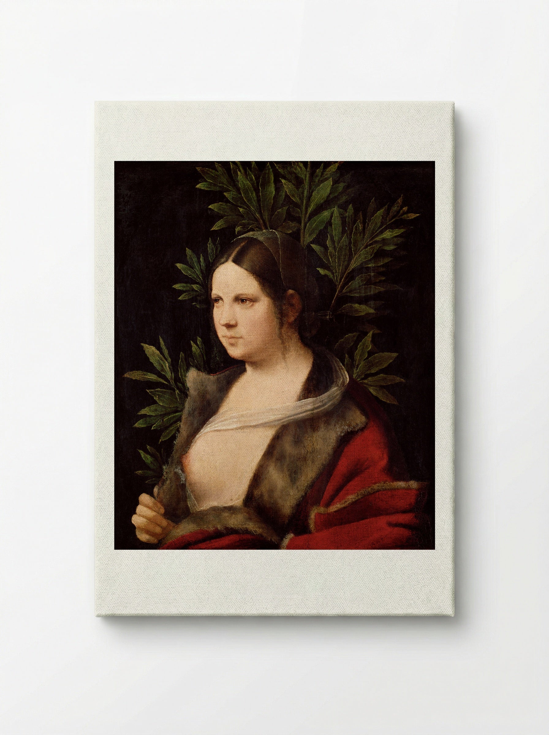 Laura - Giorgione - Canvas