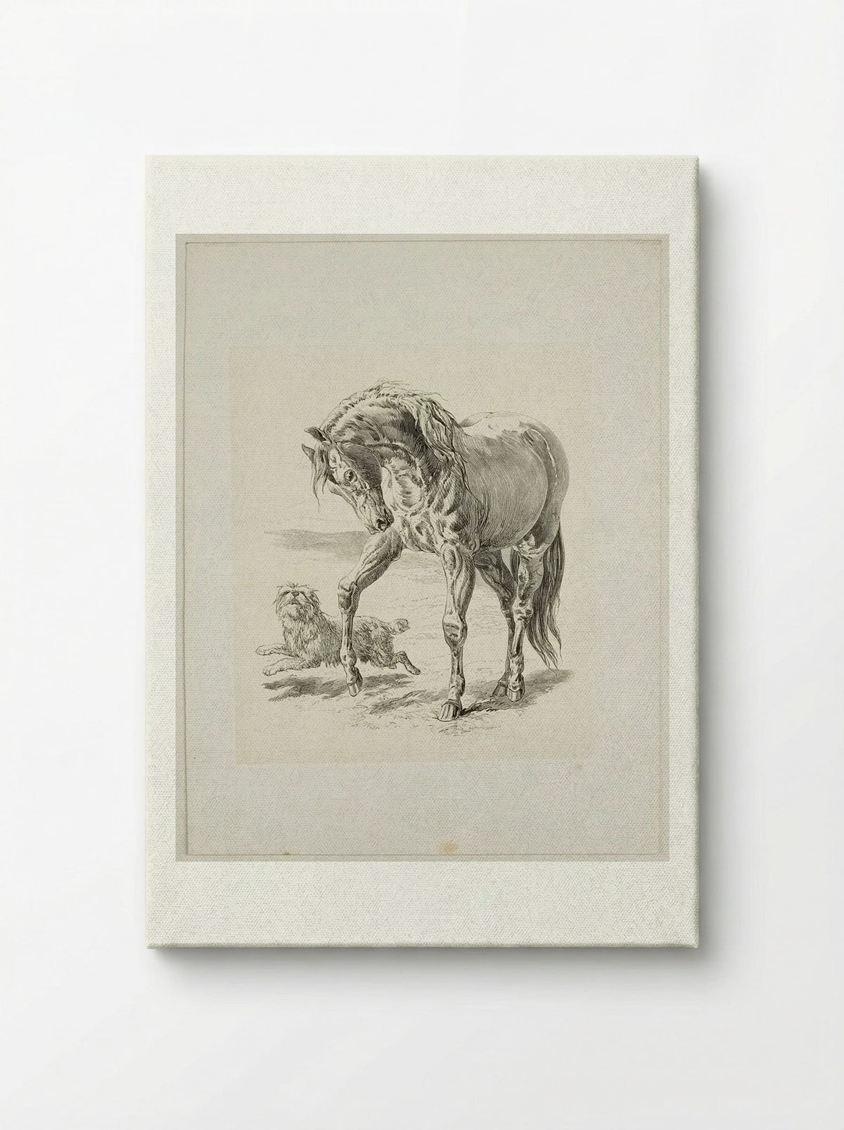 Horse and Dog - Walter Gorway - Canvas