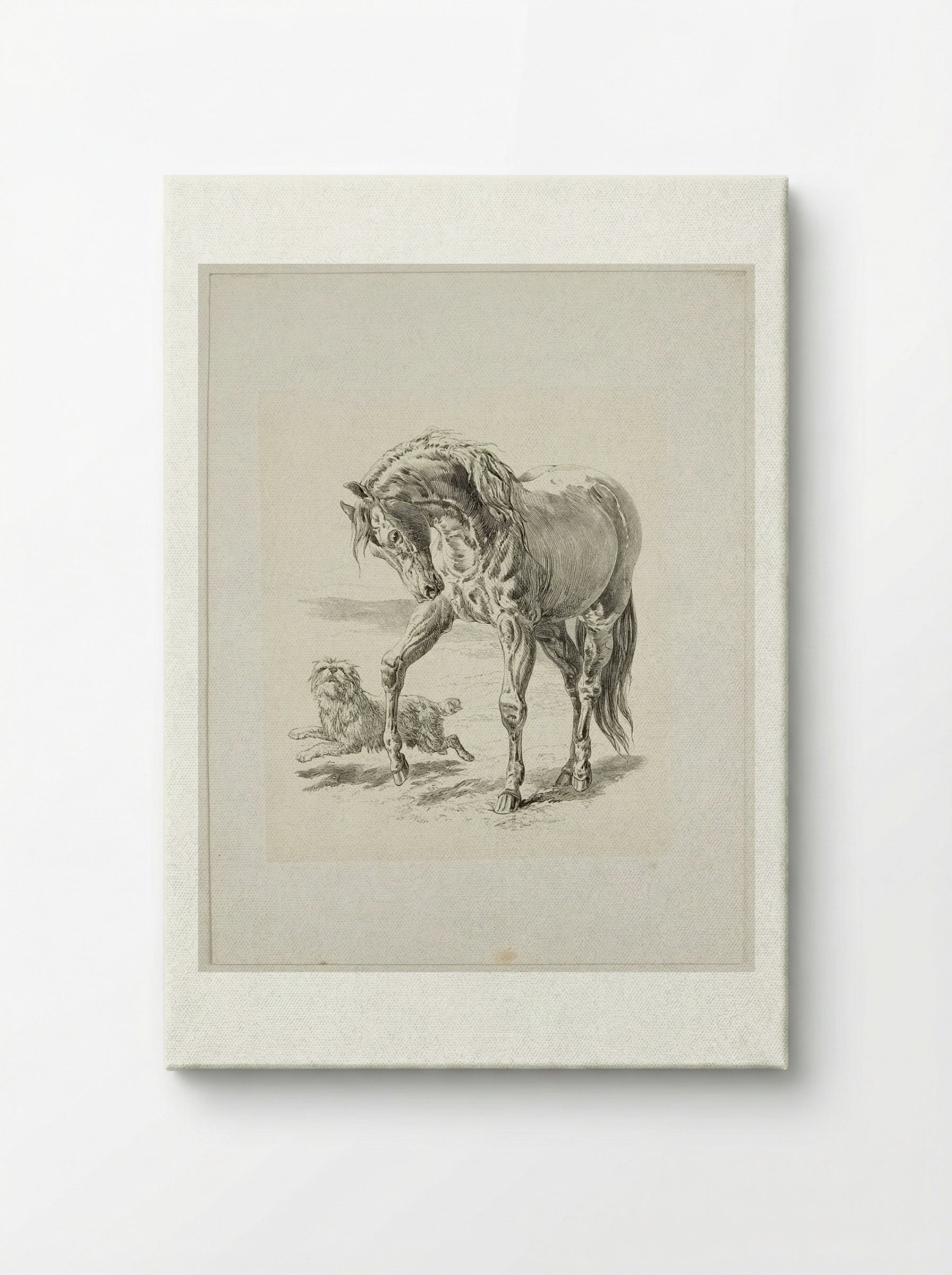Horse and Dog - Walter Gorway - Canvas