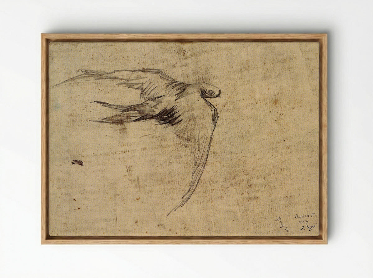 Study of a Swift in Flight - Leonardo da Vinci - Framed Canvas Wood