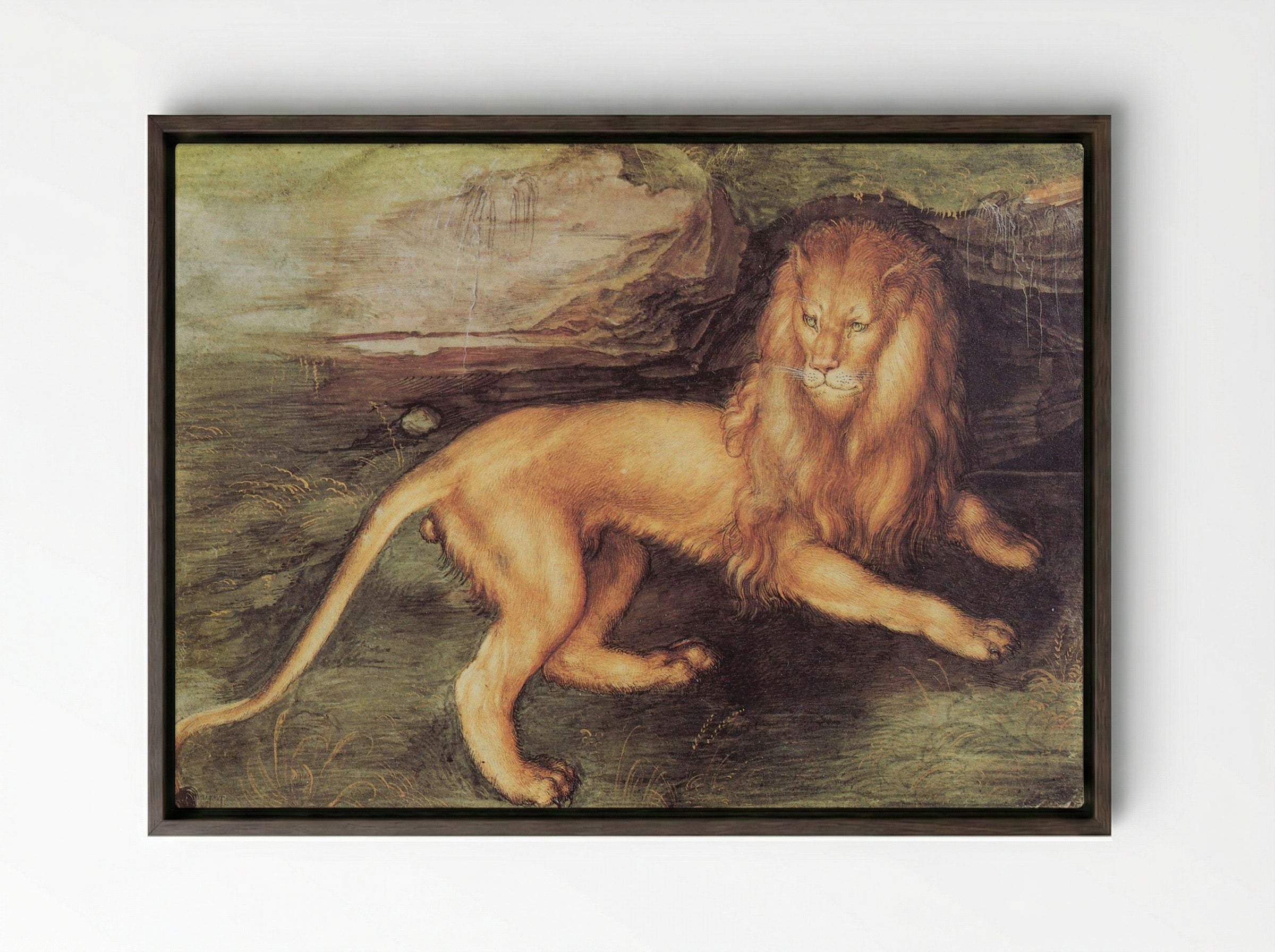 Study of a Lion - Leonardo da Vinci - Framed Canvas Dark Wood