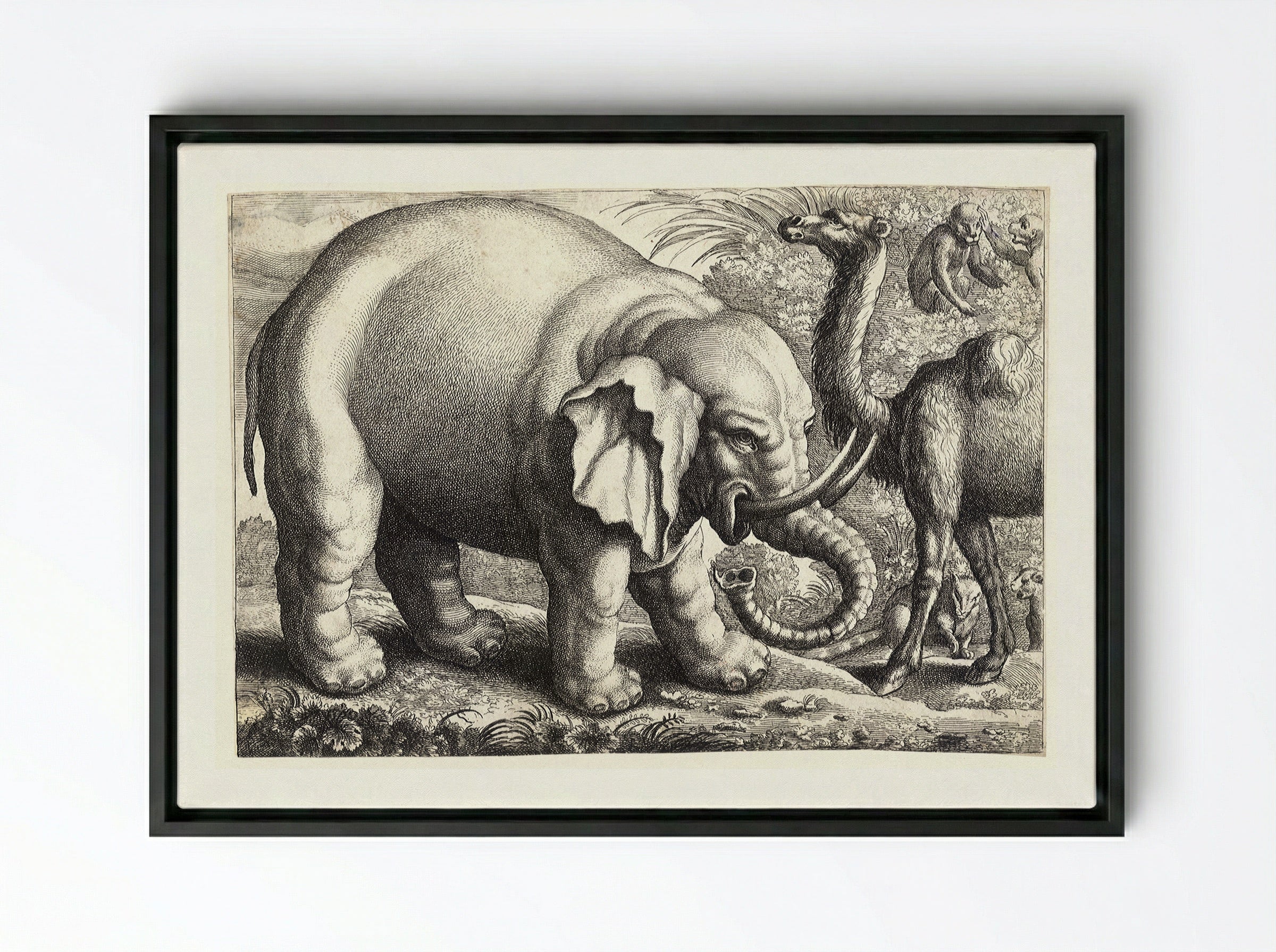 Elephant and Camel - Wenceslaus Hollar - Framed Canvas Black