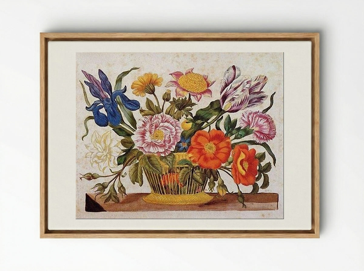 from Der Raupen wunderbare Verwandlung und sonderbare Blumennahrung, Plate CLXIX - Maria Sibylla Merian - Framed Canvas Wood