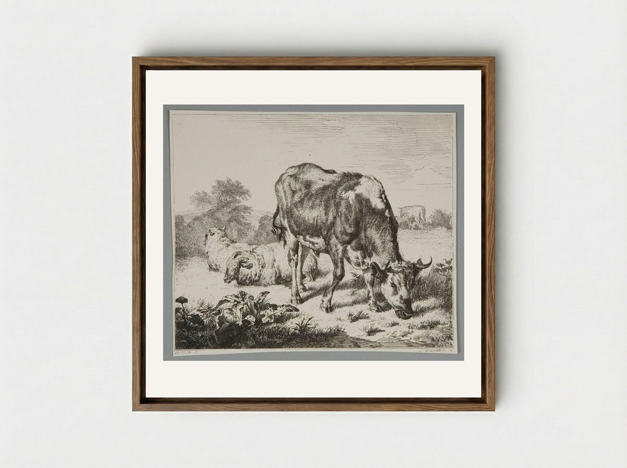 Ox and Three Sheep - Louis Dujardin - Framed Canvas Wood