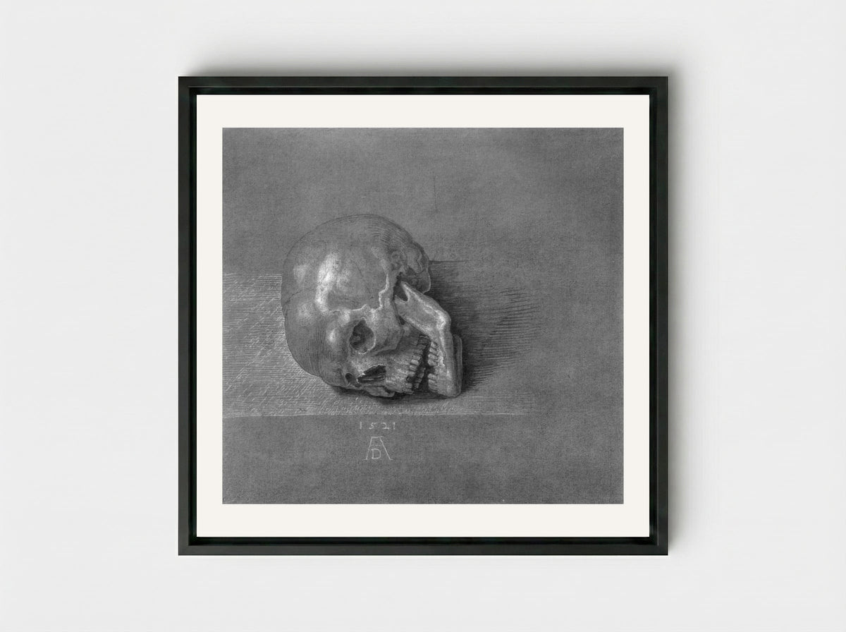 Skull (Study) - Albrecht Dürer - Framed Canvas Black