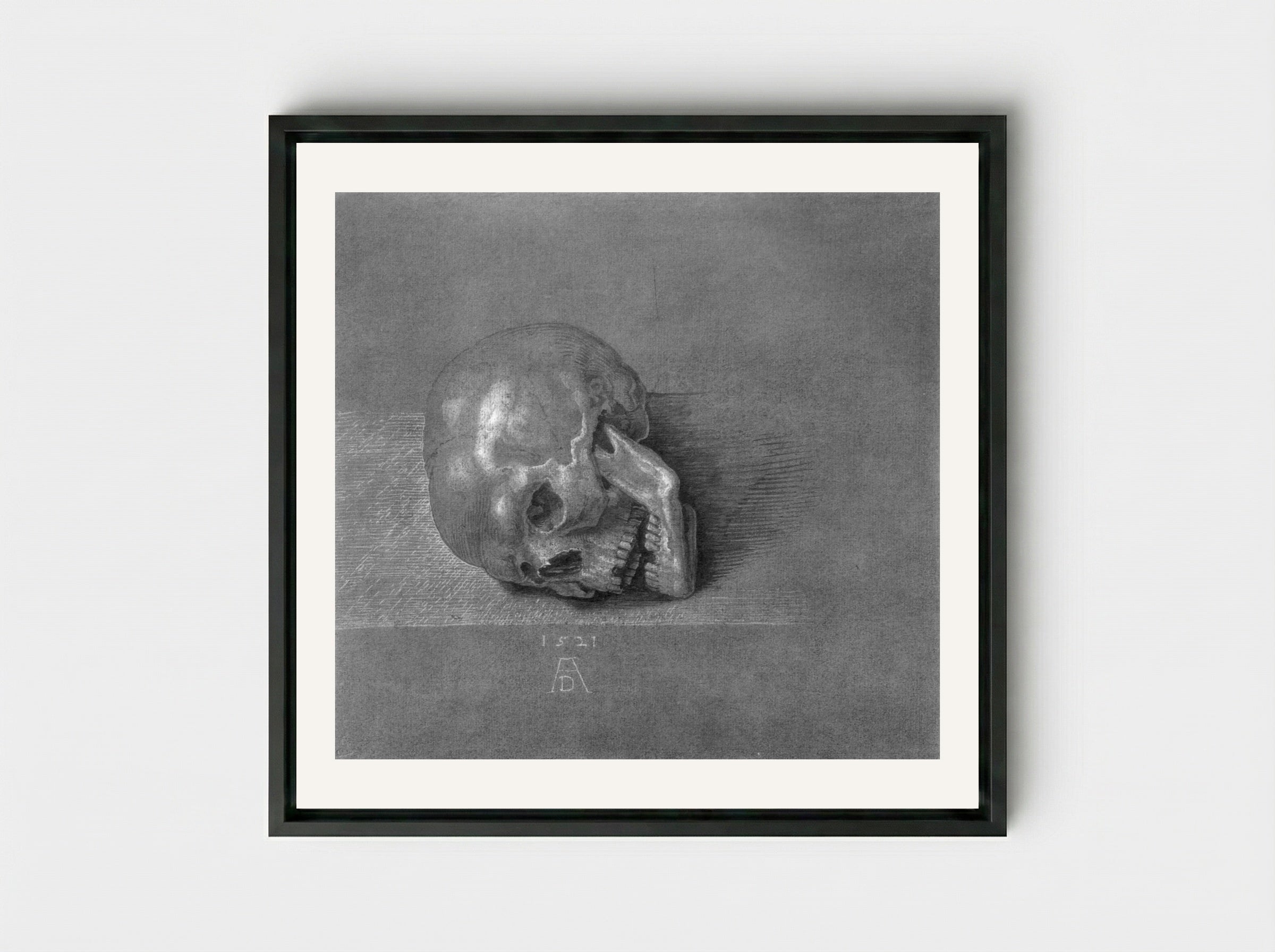 Skull (Study) - Albrecht Dürer - Framed Canvas Black