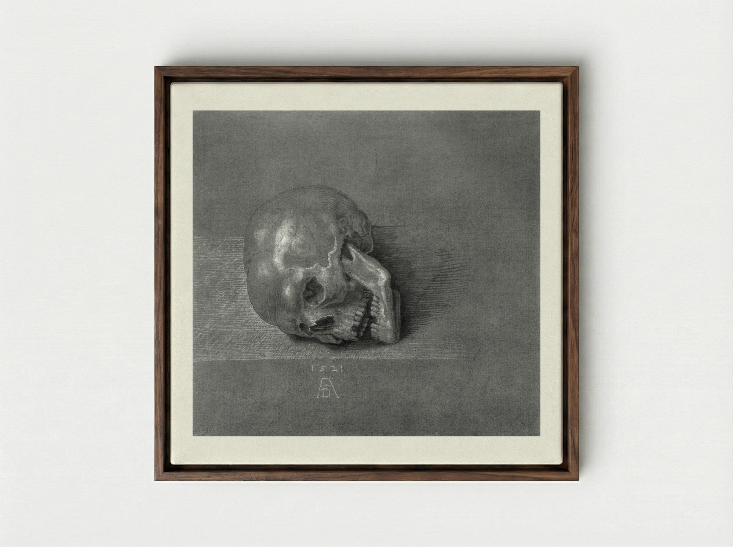 Skull (Study) - Albrecht Dürer - Framed Canvas Dark Wood