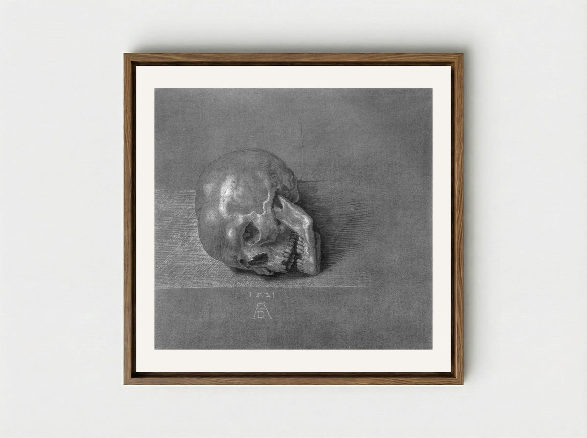 Skull (Study) - Albrecht Dürer - Framed Canvas Wood