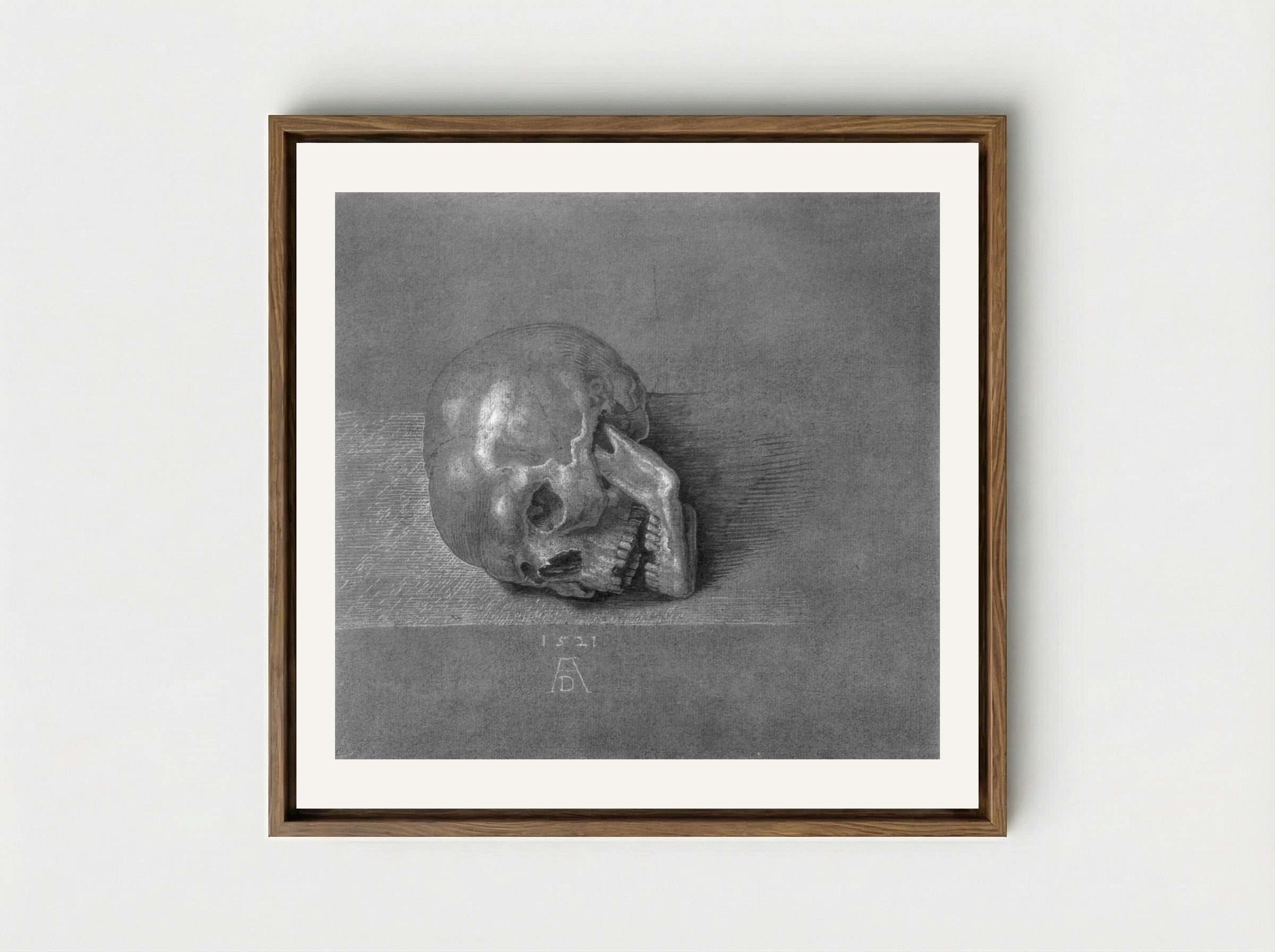 Skull (Study) - Albrecht Dürer - Framed Canvas Wood