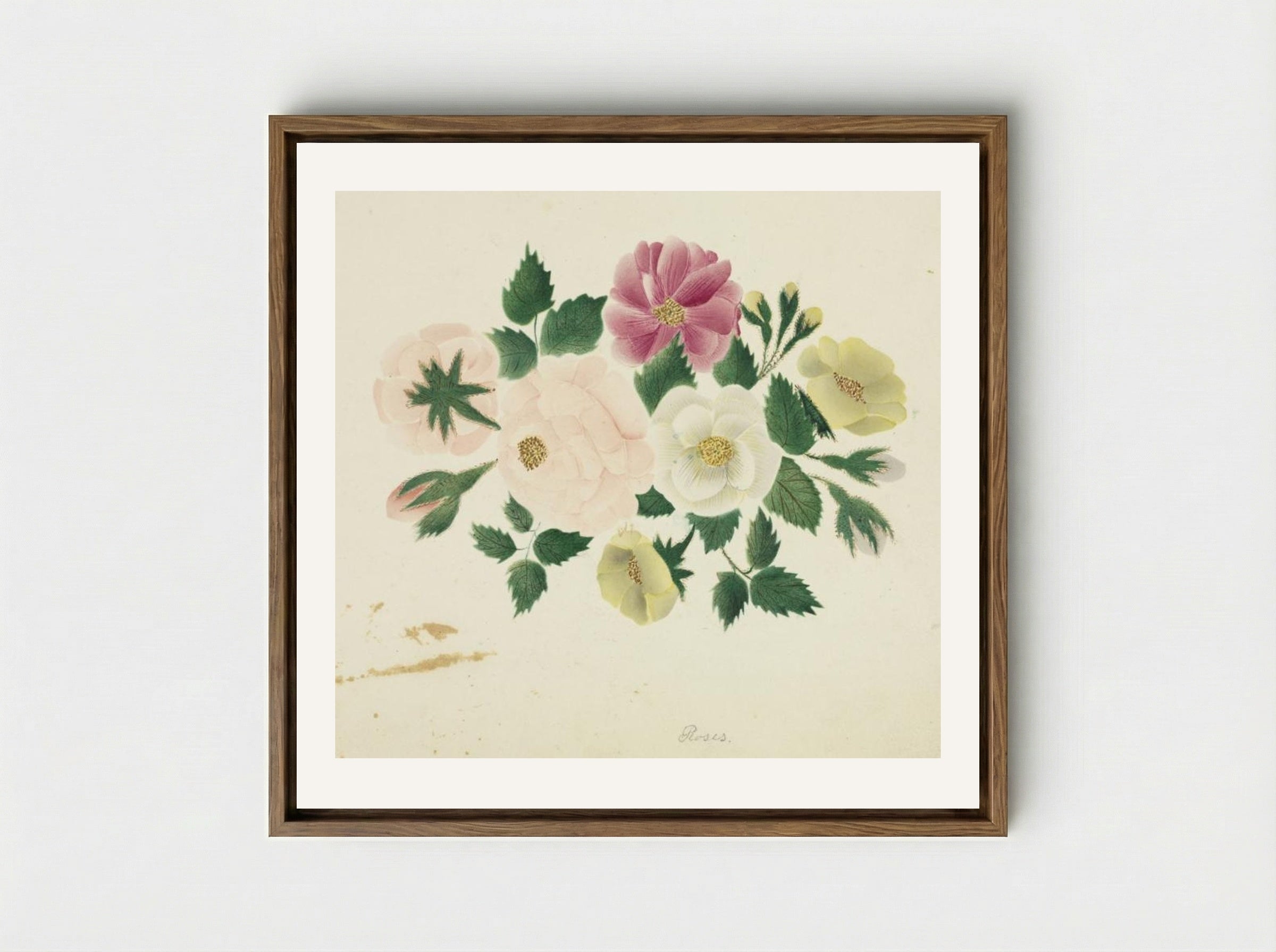 June Roses - Mary Altha Nims - Framed Canvas Wood