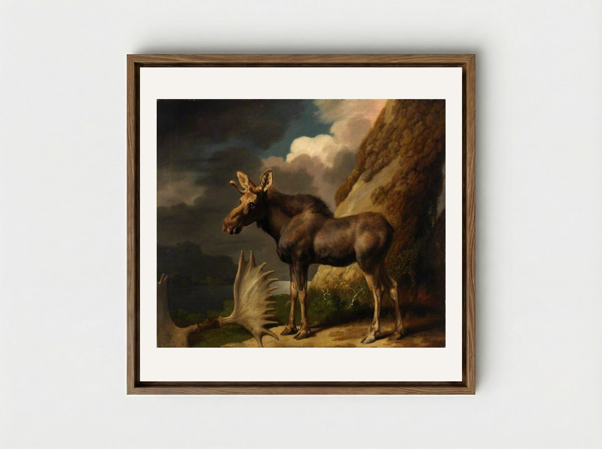 The Moose - George Stubbs - Framed Canvas Wood