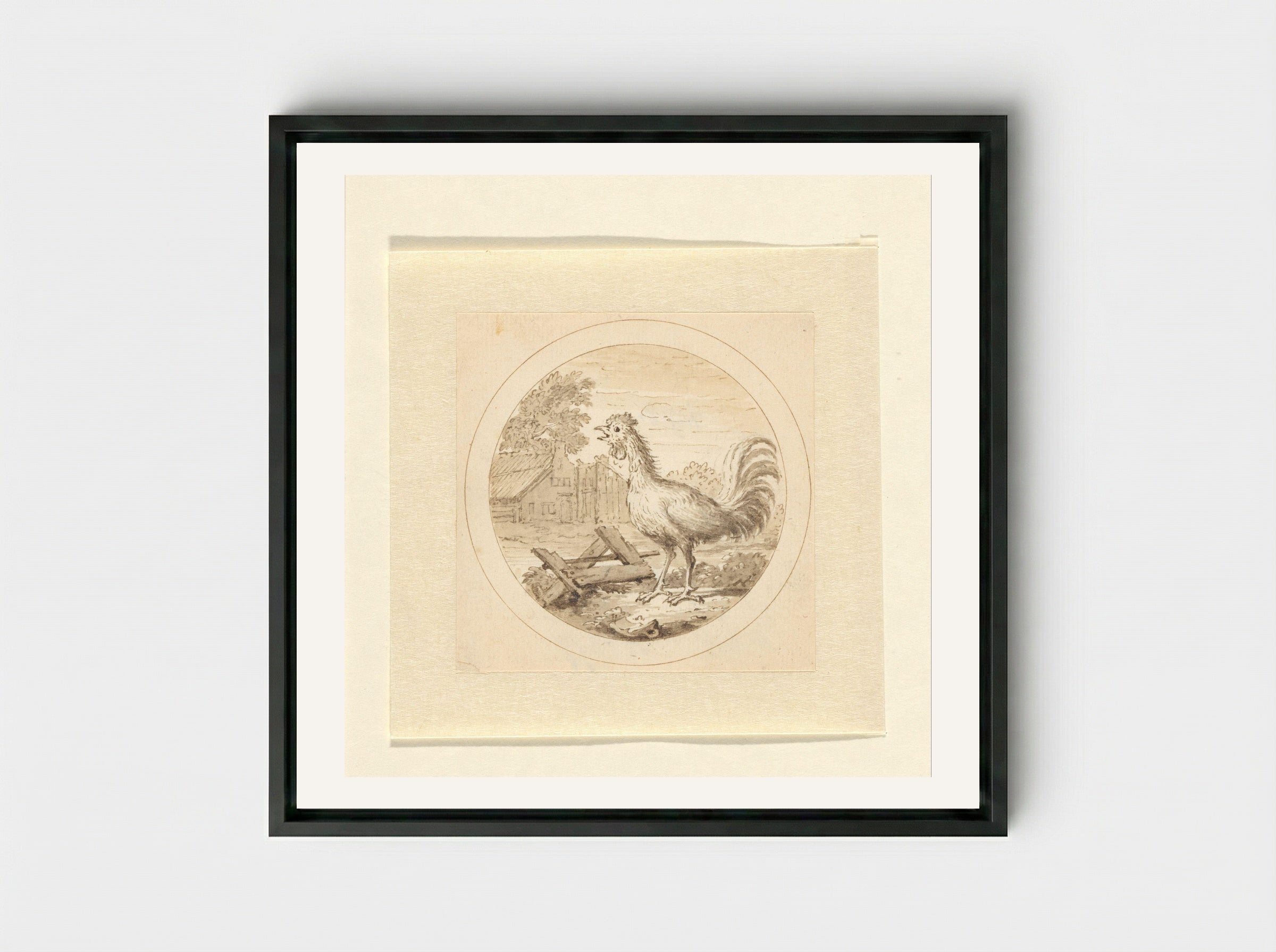 De Haan (The Rooster) - Arnold Houbraken - Framed Canvas Black