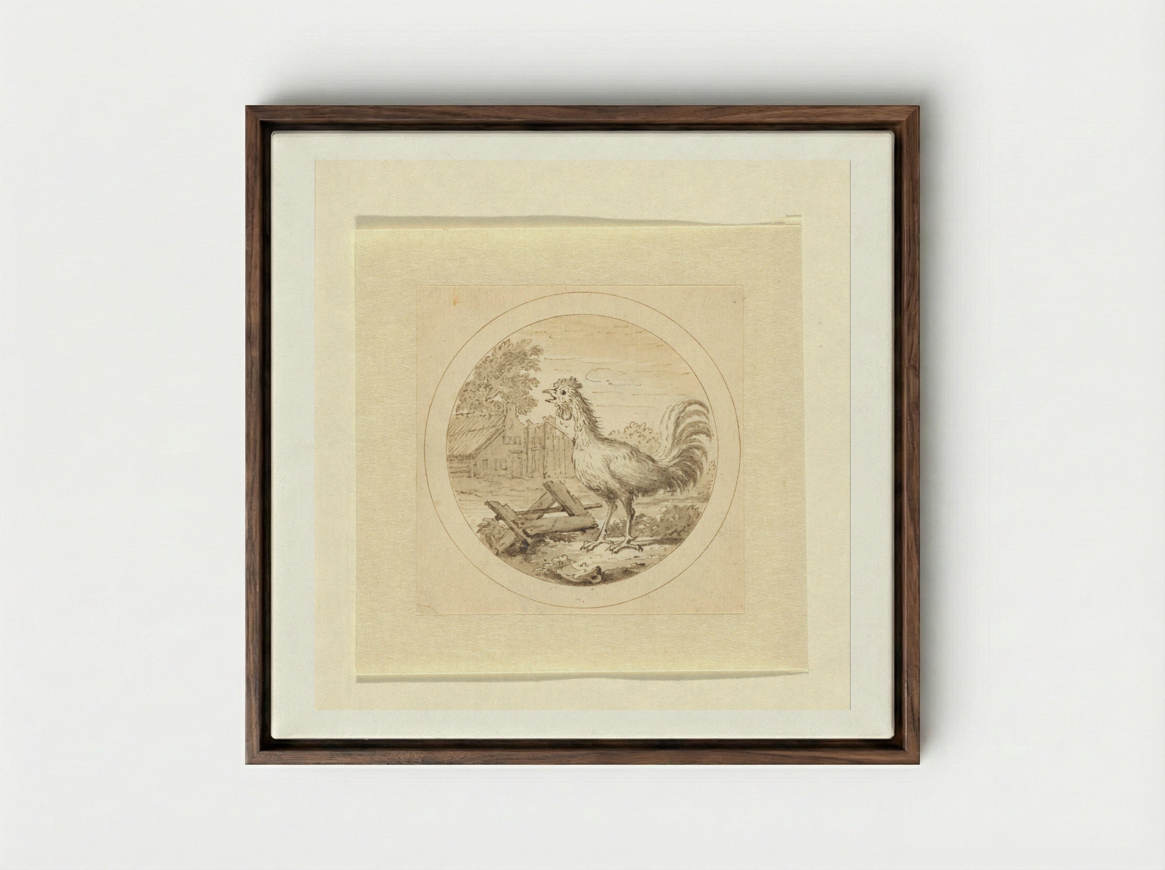 De Haan (The Rooster) - Arnold Houbraken - Framed Canvas Dark Wood
