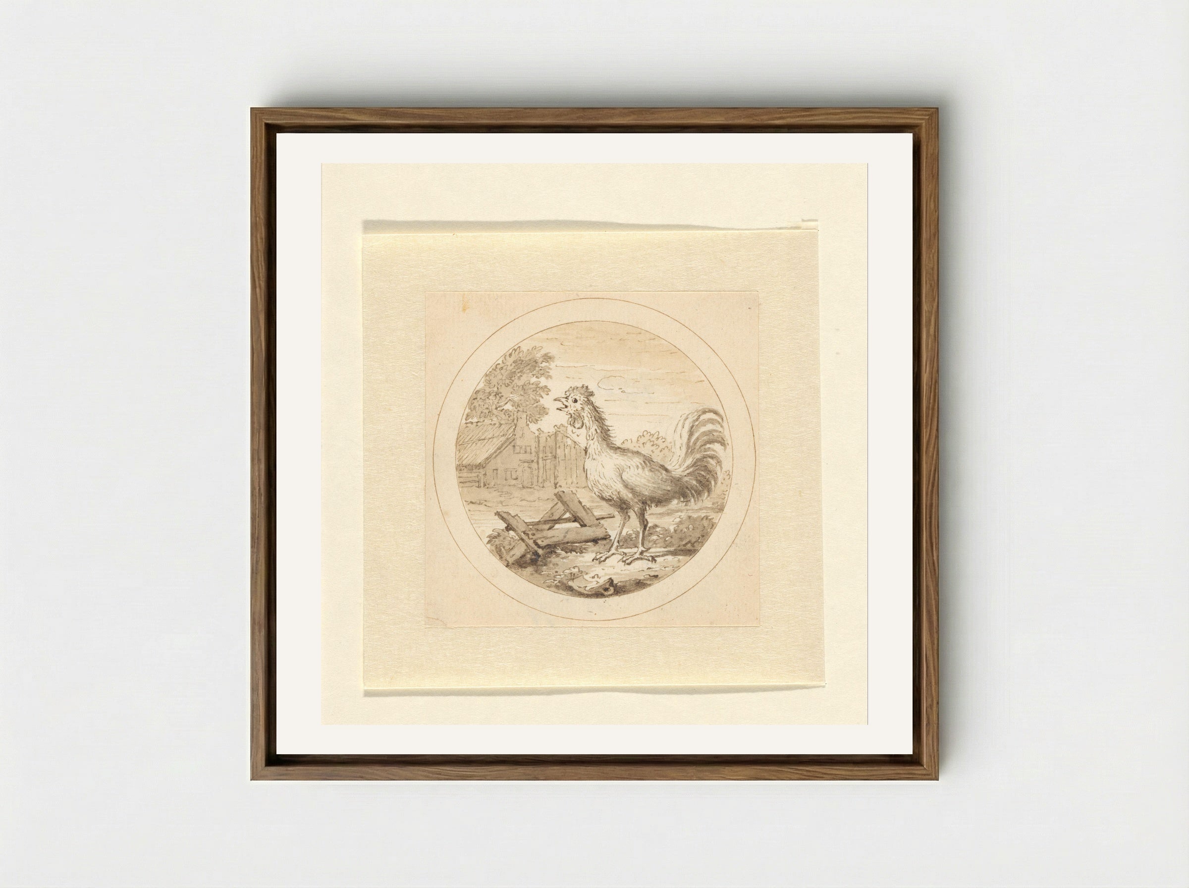 De Haan (The Rooster) - Arnold Houbraken - Framed Canvas Wood