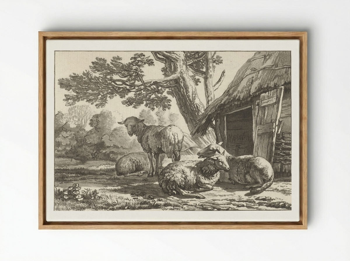 Schaapskooi (Sheepfold) - Cornelis Brouwer - Framed Canvas Wood