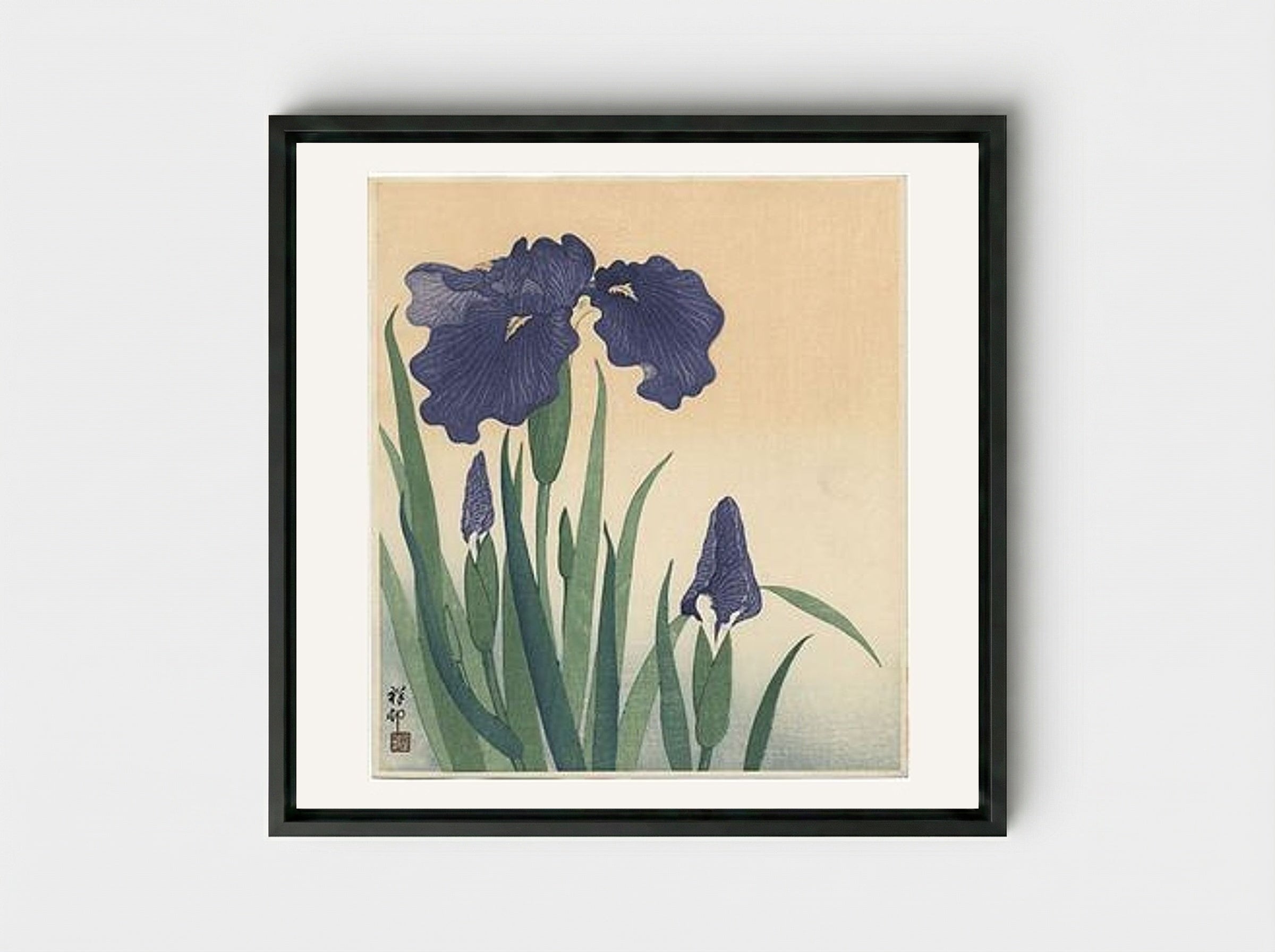 Flowering Iris - Ohara Koson - Framed Canvas Black