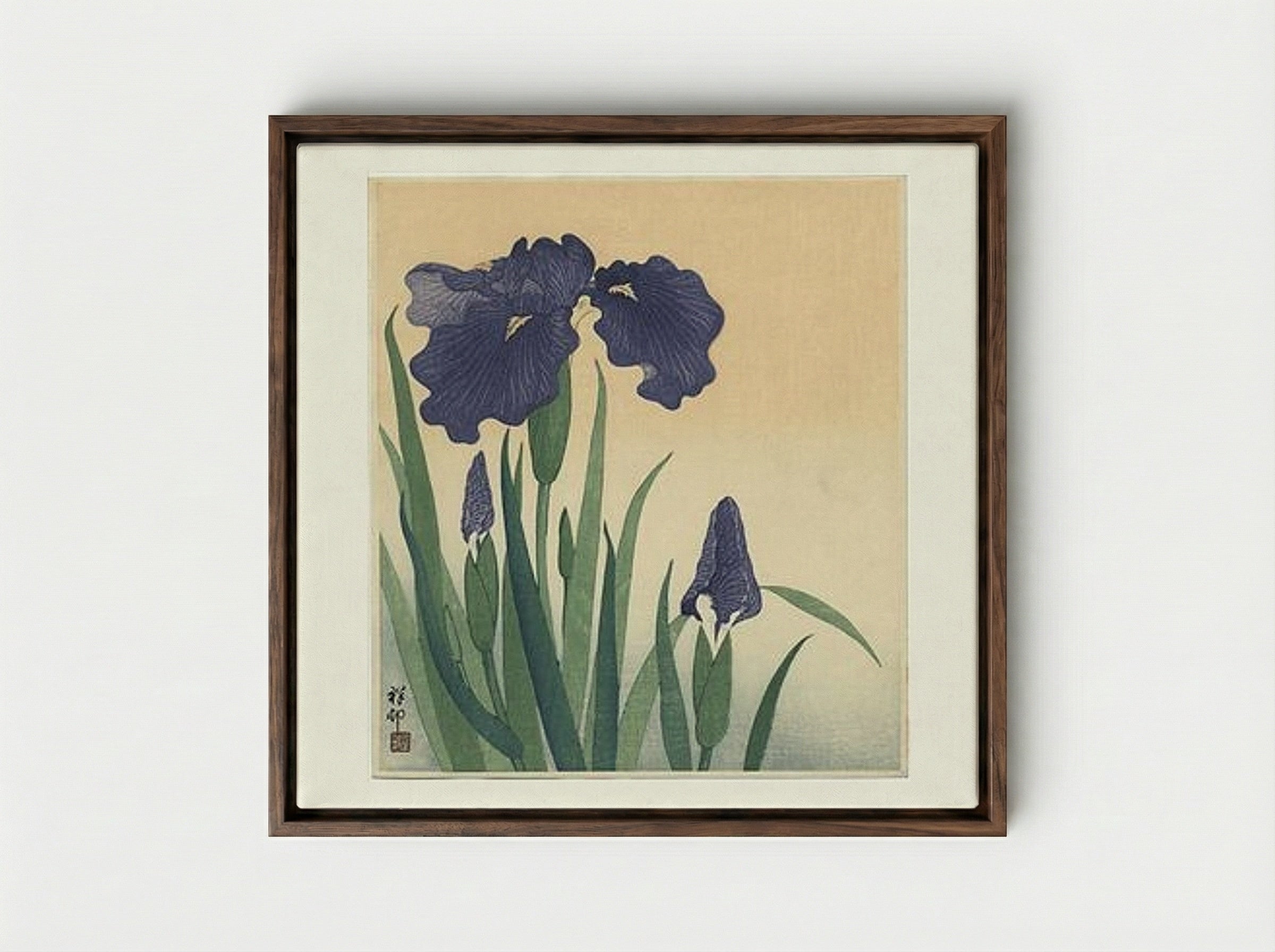 Flowering Iris - Ohara Koson - Framed Canvas Dark Wood