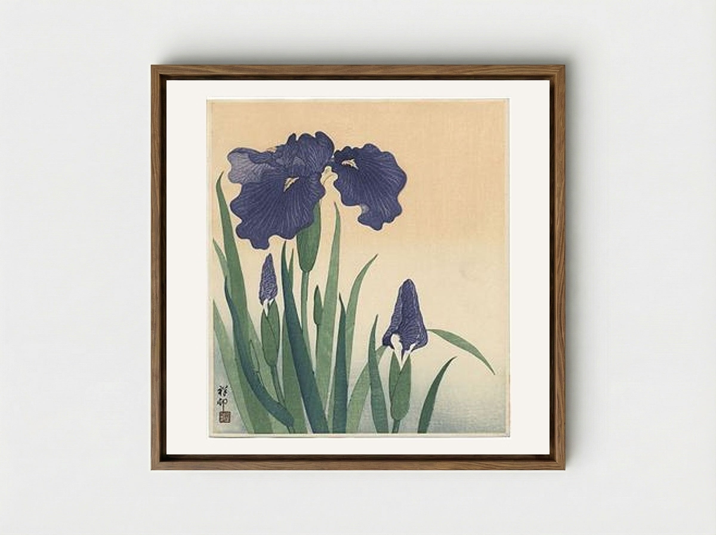Flowering Iris - Ohara Koson - Framed Canvas Wood