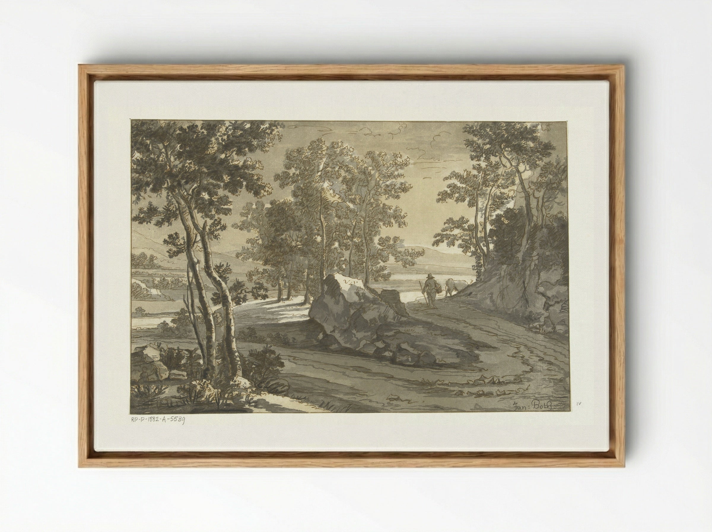 Wooded Landscape with a Drover - Jan Both - Framed Canvas Wood