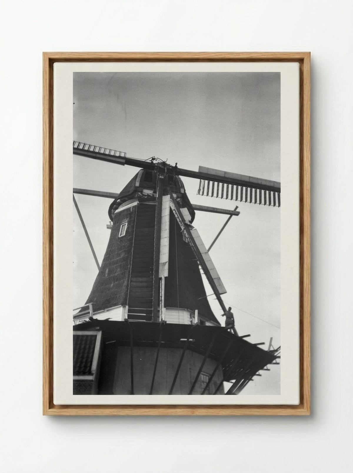 Stellingmolen (Windmill Study) - Willem Westbroek - Framed Canvas Wood