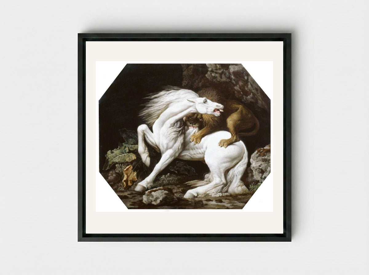 A Horse Attacked by a Lion - George Stubbs - Framed Canvas Black