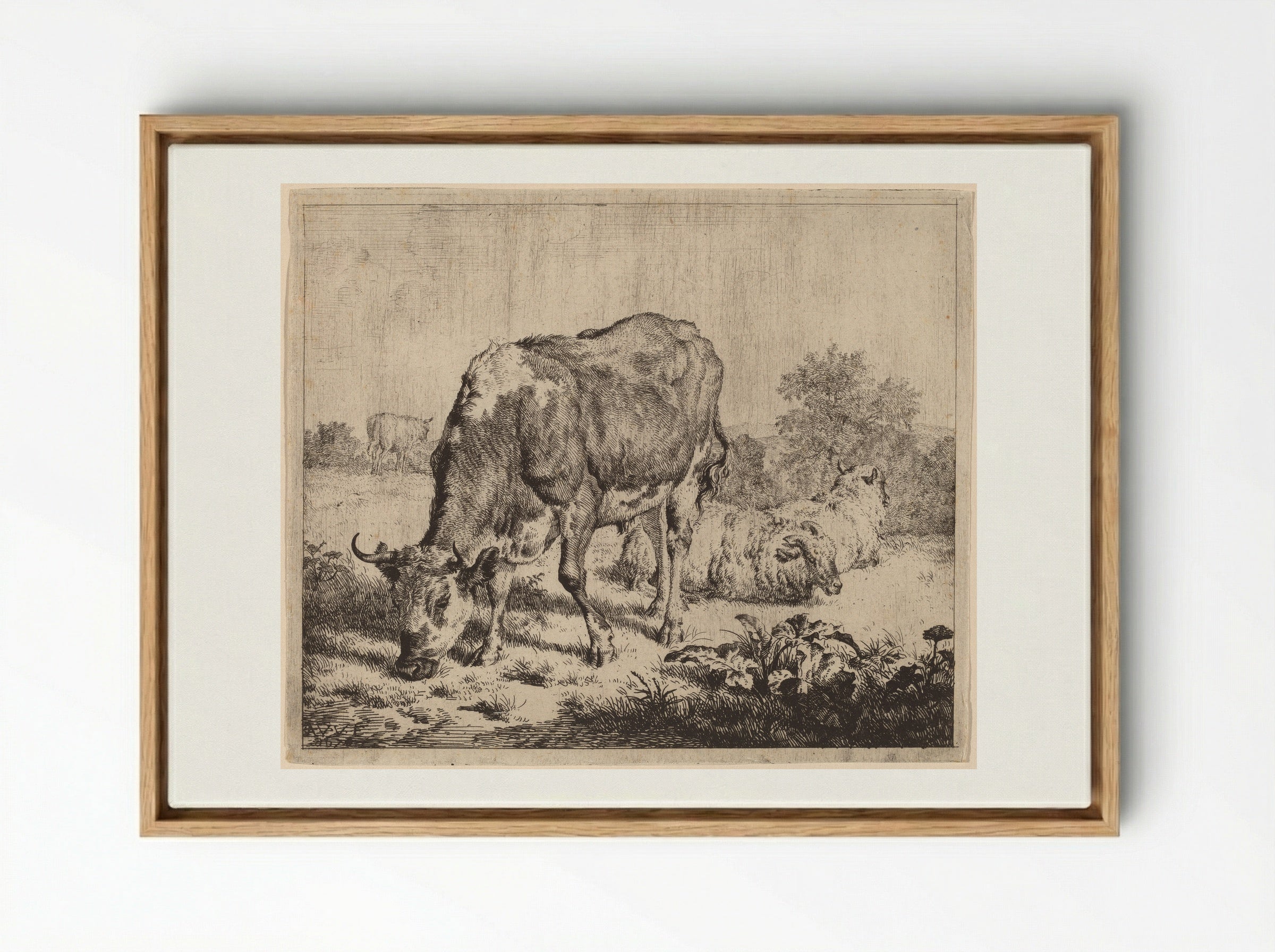Spotted Bull and Three Sheep - Adriaen van de Velde - Framed Canvas Wood