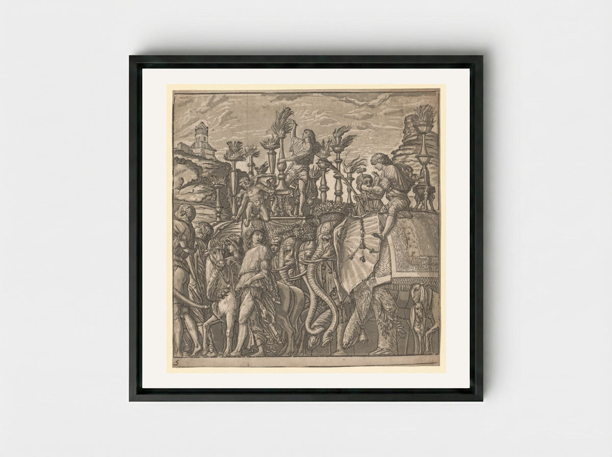 The Triumph of Julius Caesar: Elephants Carrying Torches - Andrea Andreani - Framed Canvas Black
